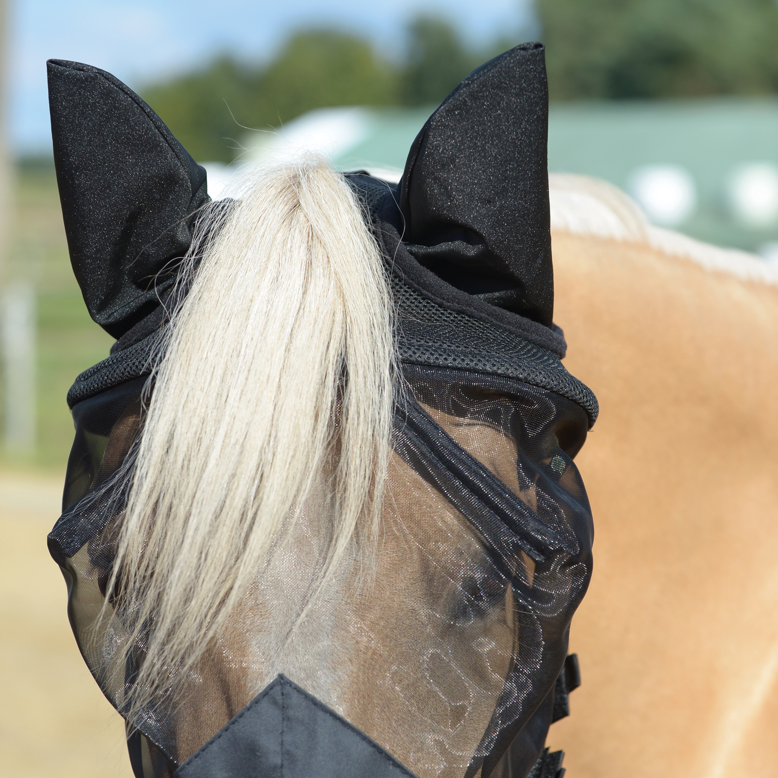 Masque anti-mouches Fly Cover Fransen Gap II