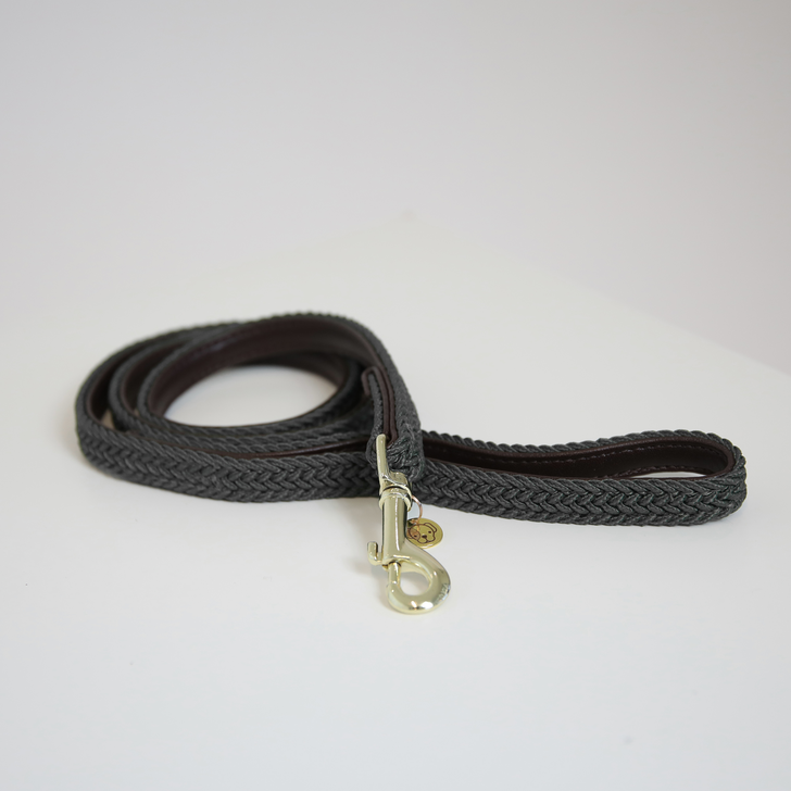 Nylon braided dog lead