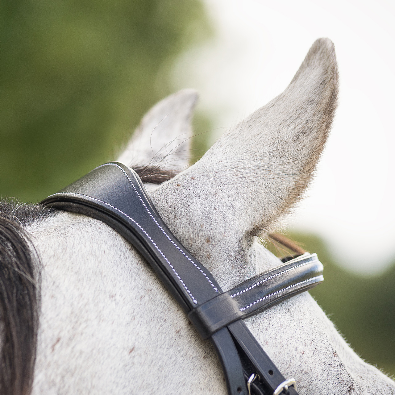Snaffle with luxury stitching