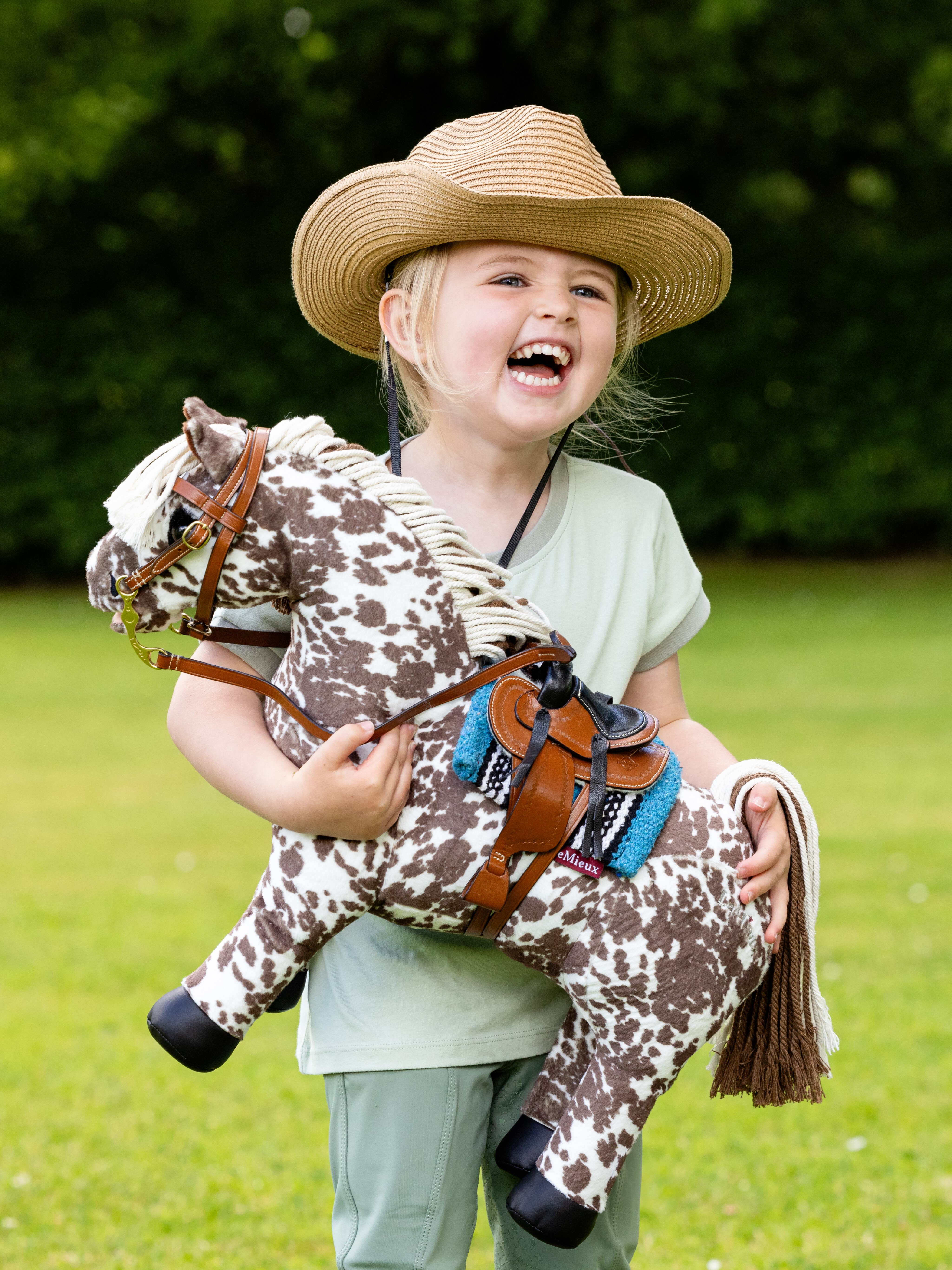 Toy Pony Western