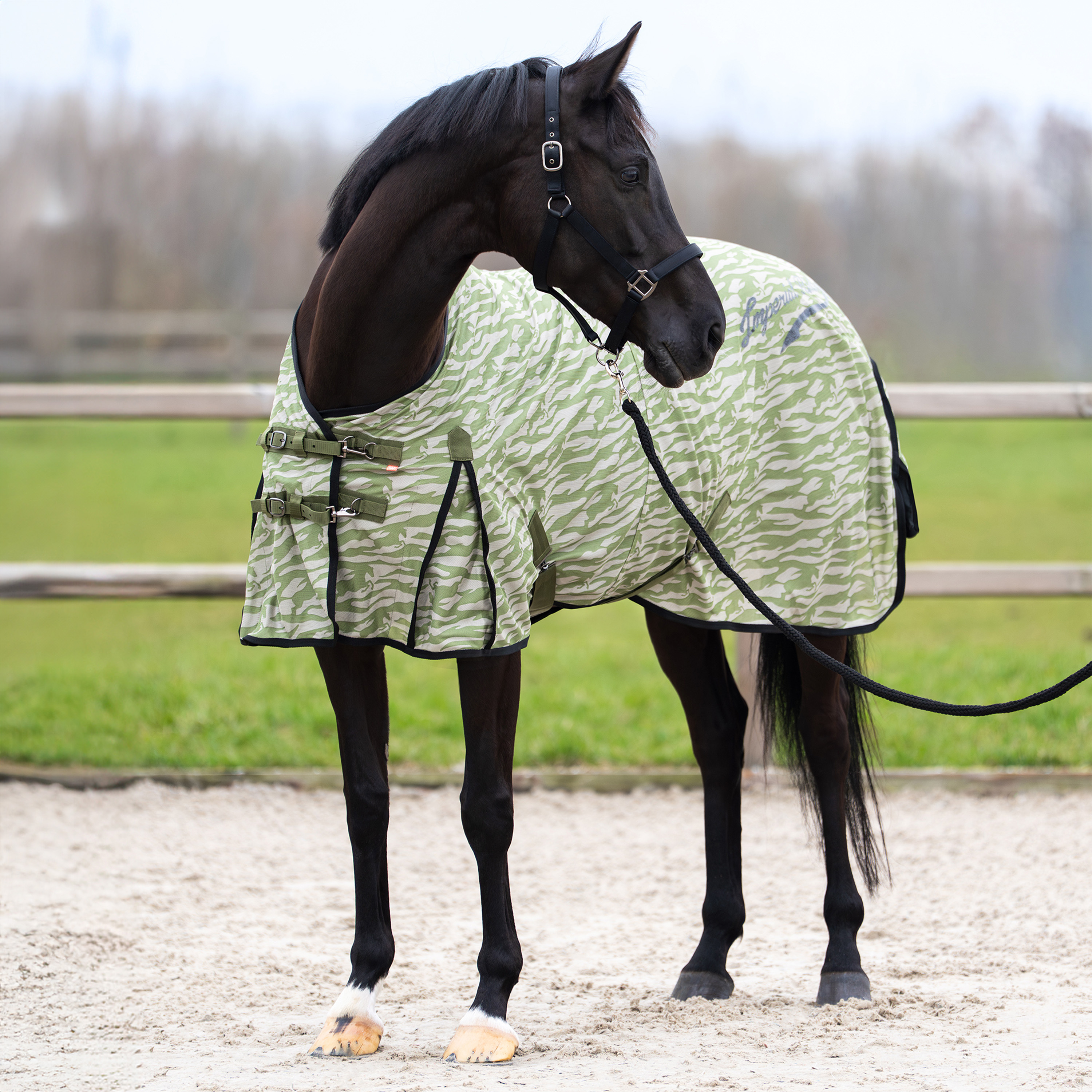 Fliegendecke Carlys