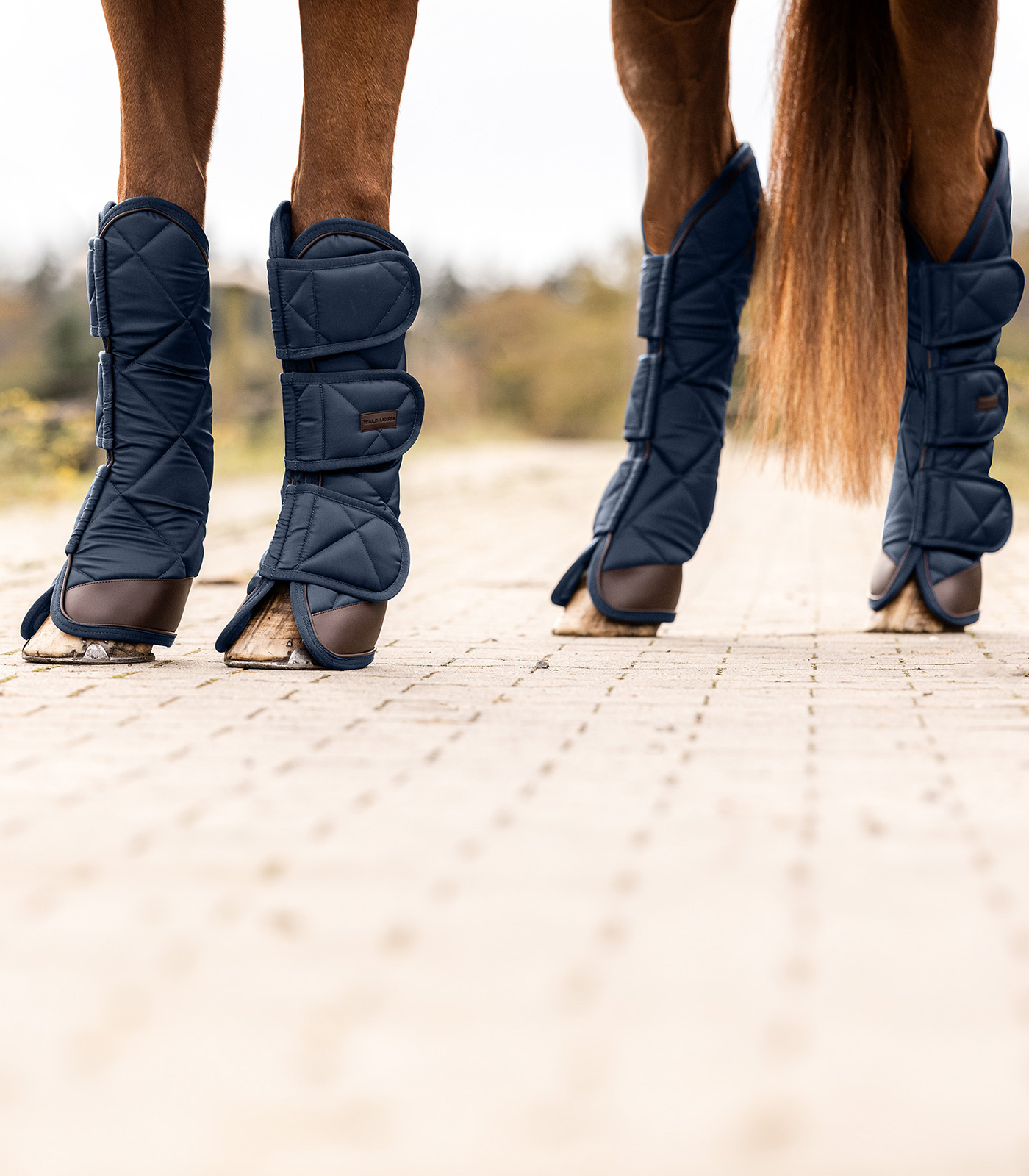 Transport boots Exclusive