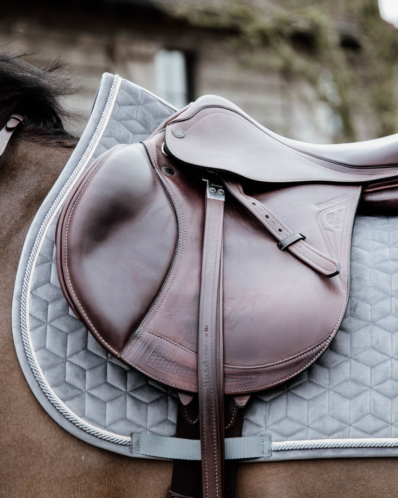 Jumping saddle pad Basic Velvet