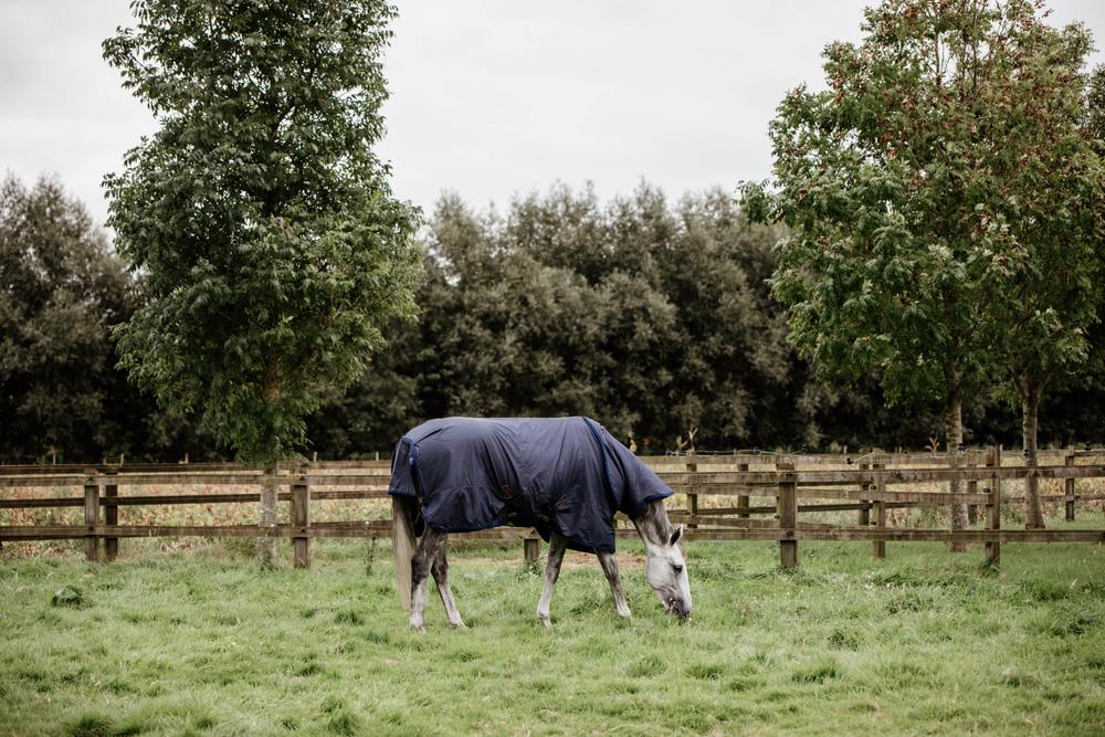 Halsteil All Weather Hurricane