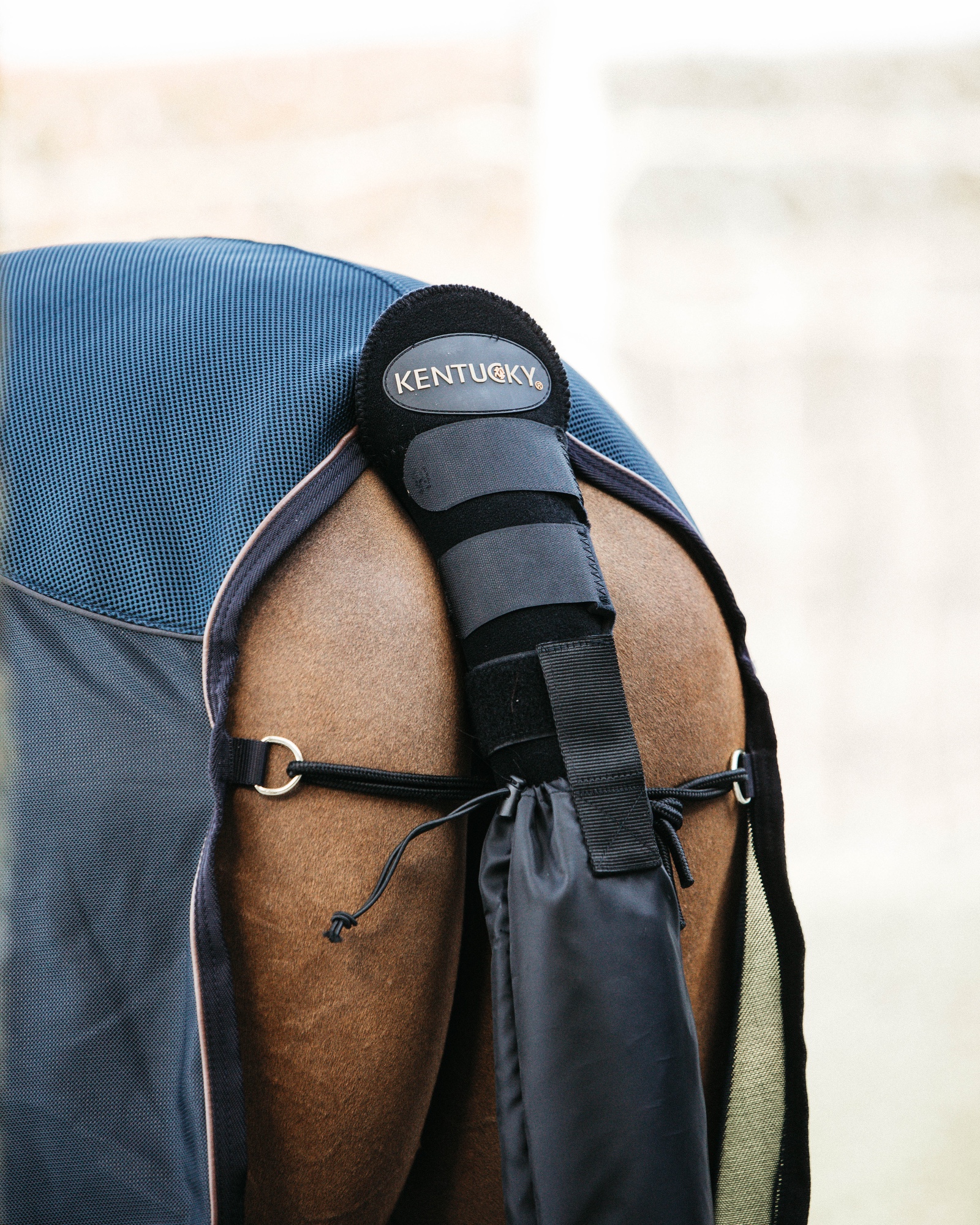 Crupper & tail bag