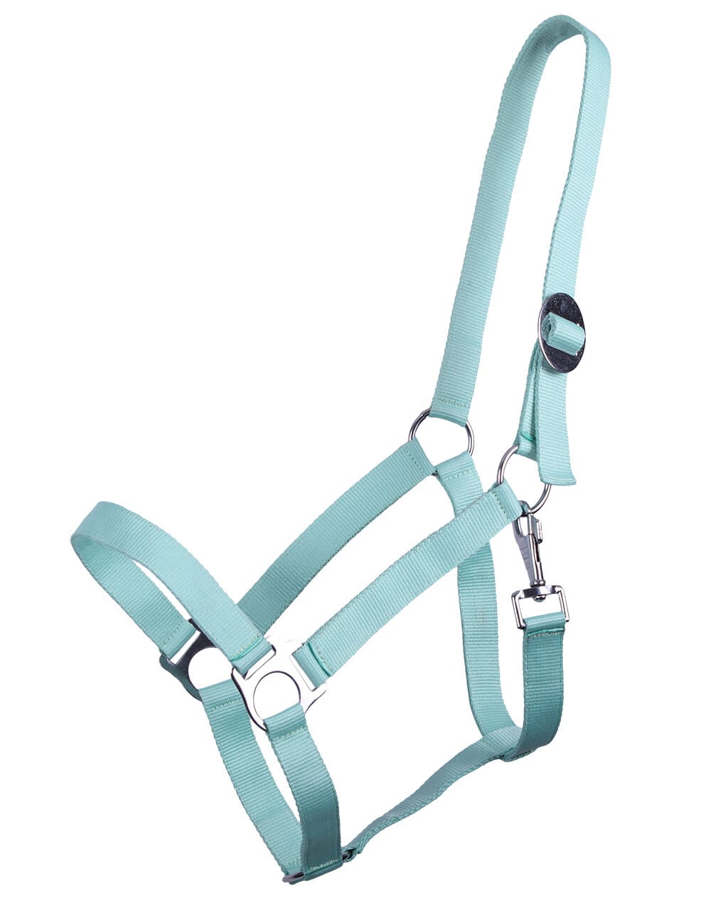 Halter with sliding buckle