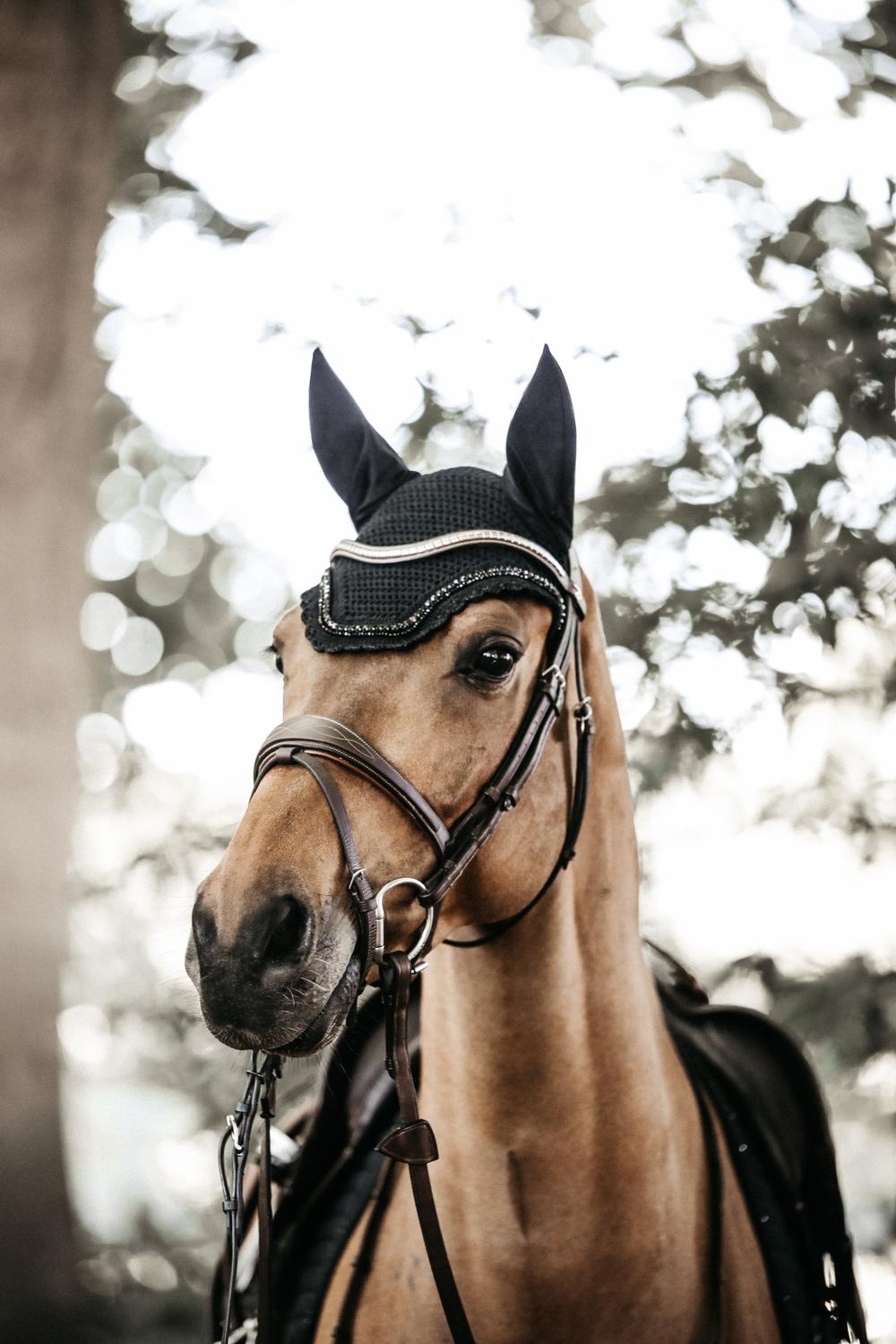 Fly ears Wellington Stone & Pearl