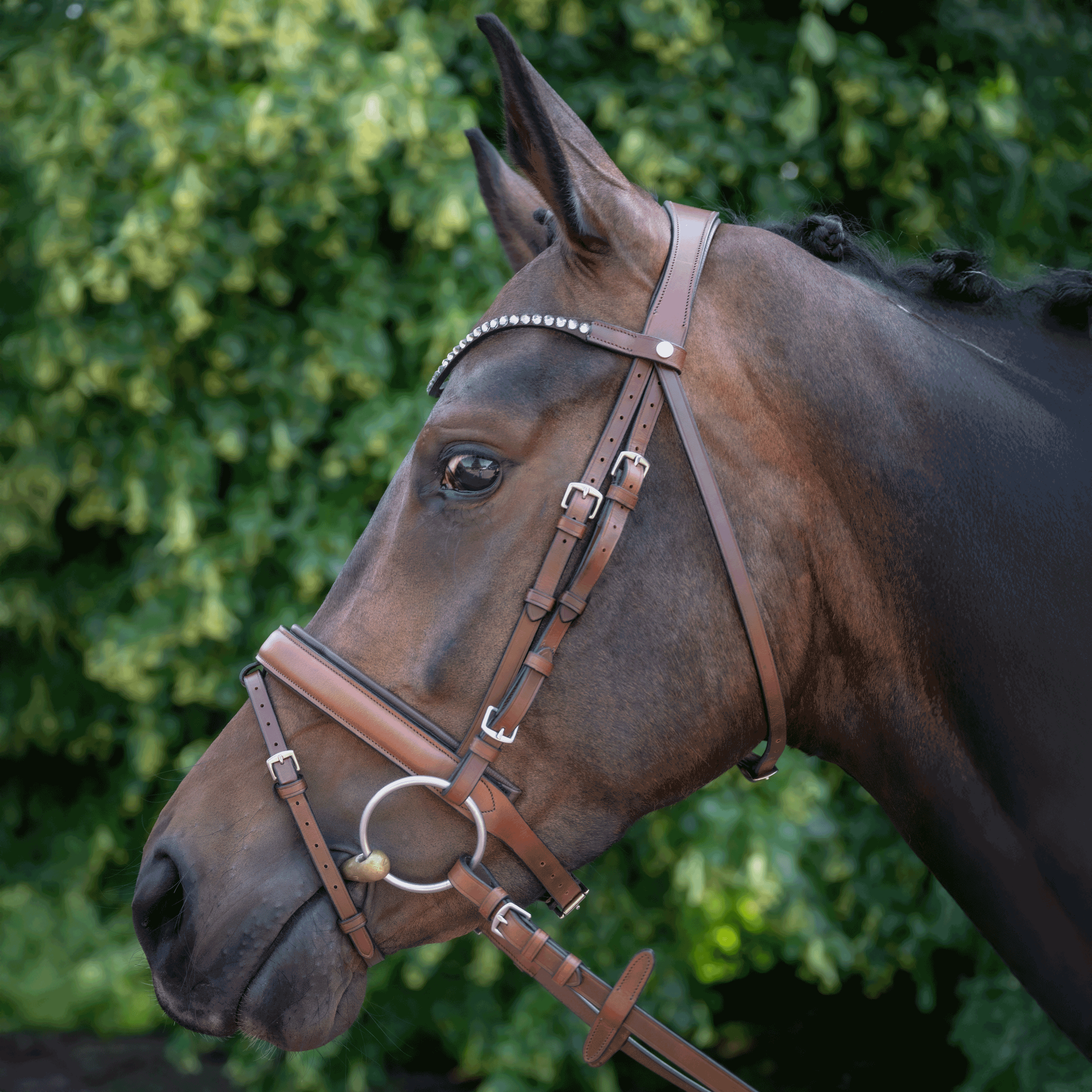Noseband CHOOSE IT