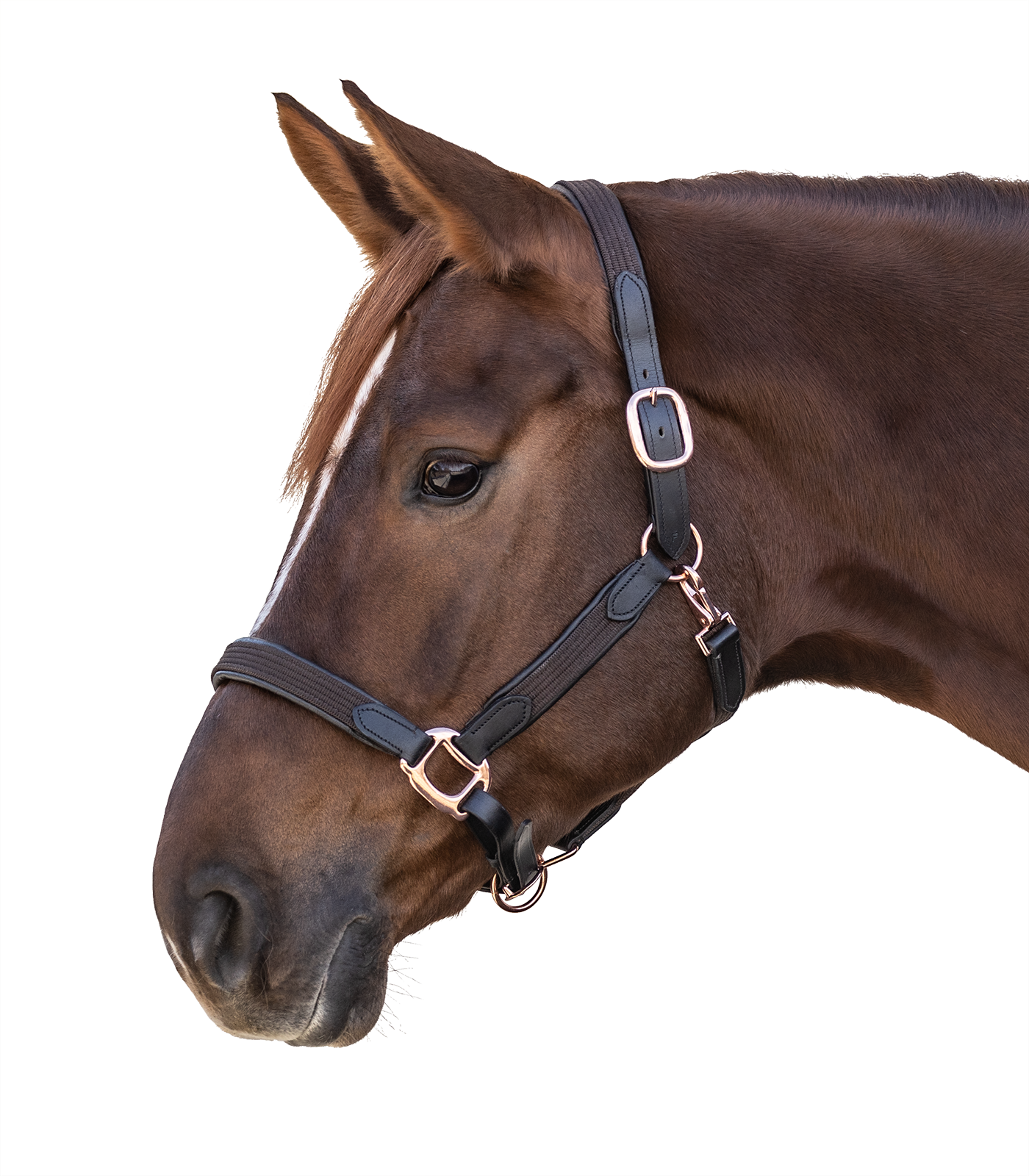 Halter Mix