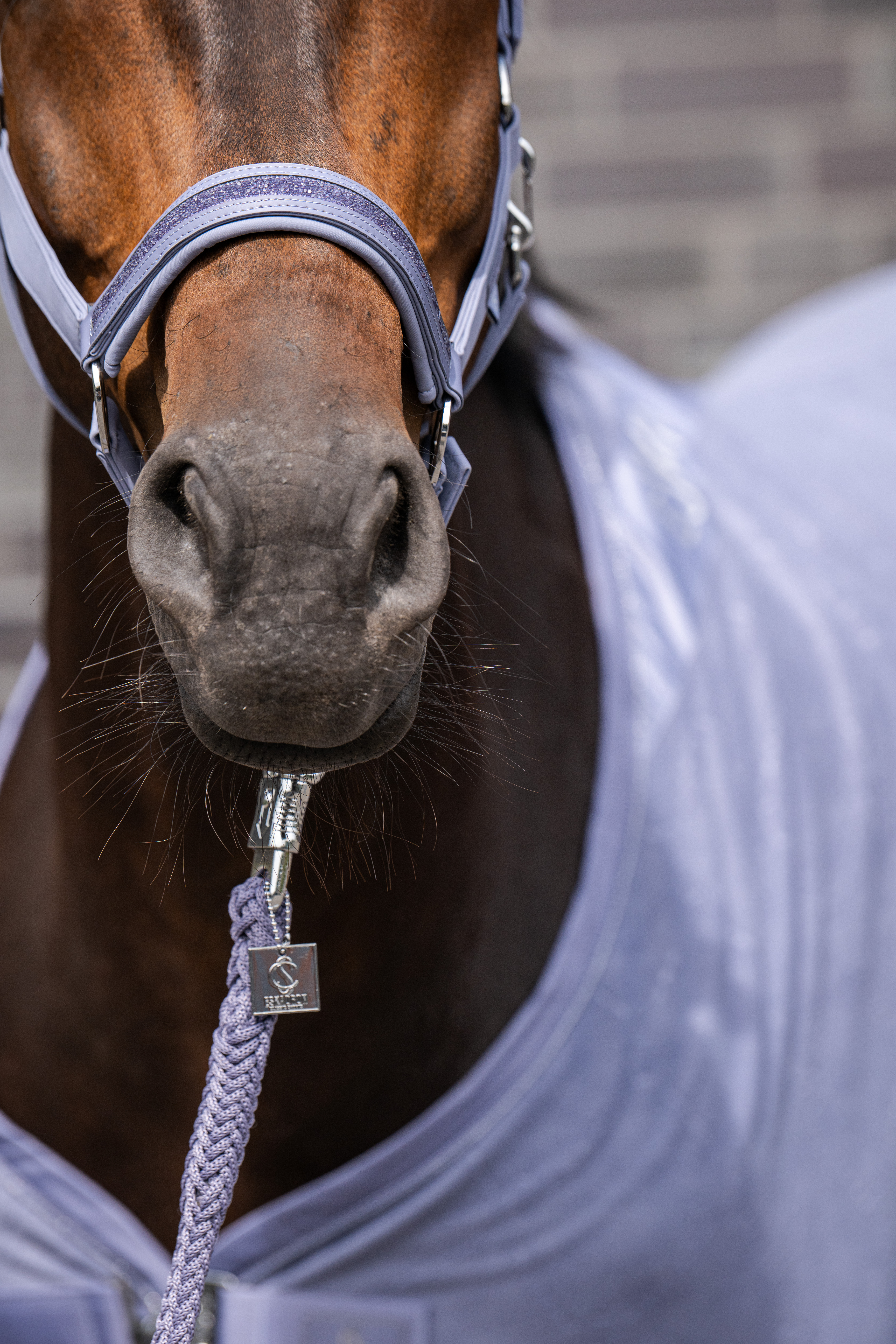 Halfter Classic Sports Softshell Jewel DP