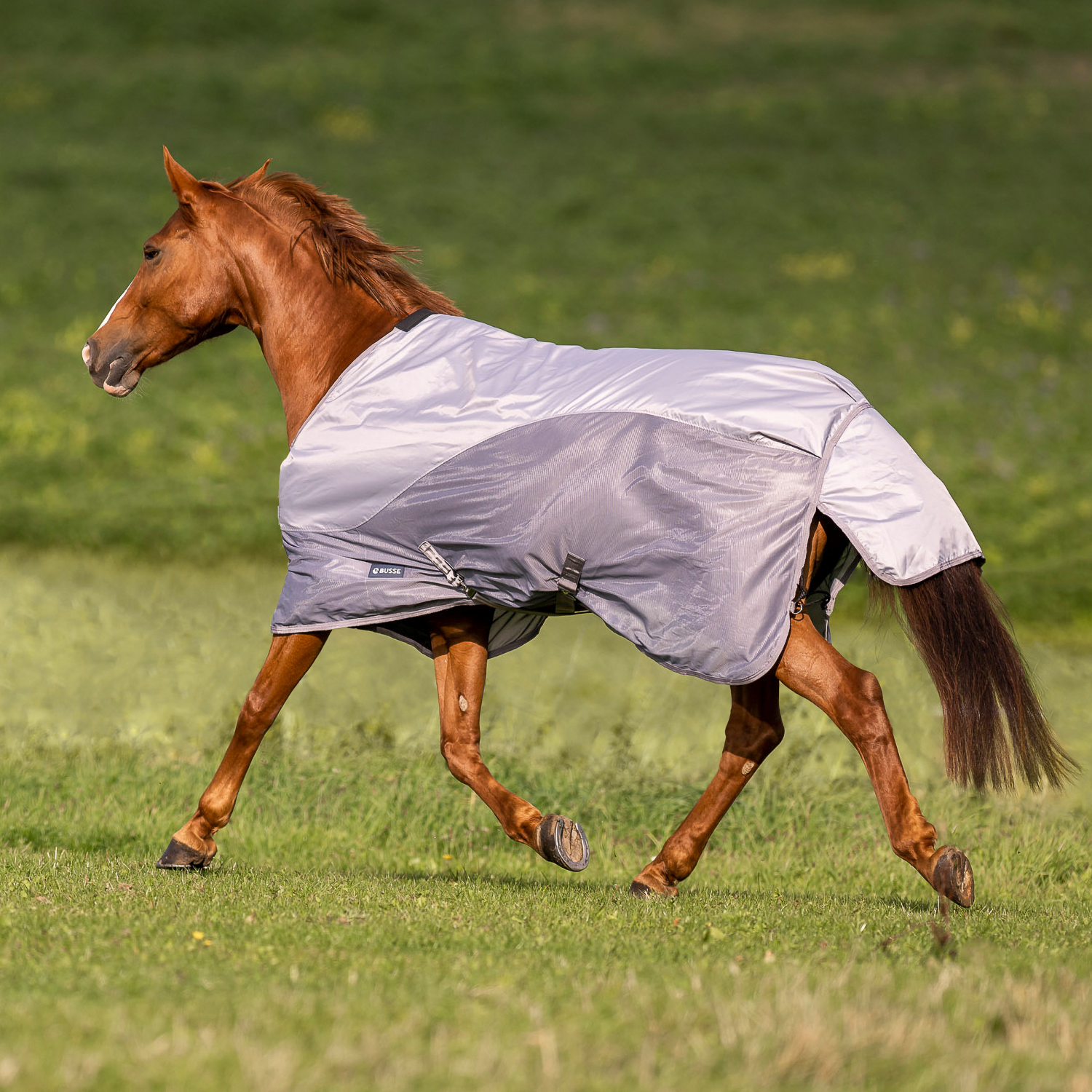 RainFly outdoor blanket