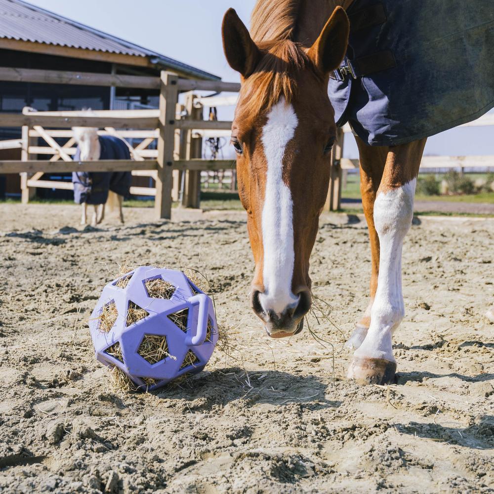 Relax horse game & hay ball