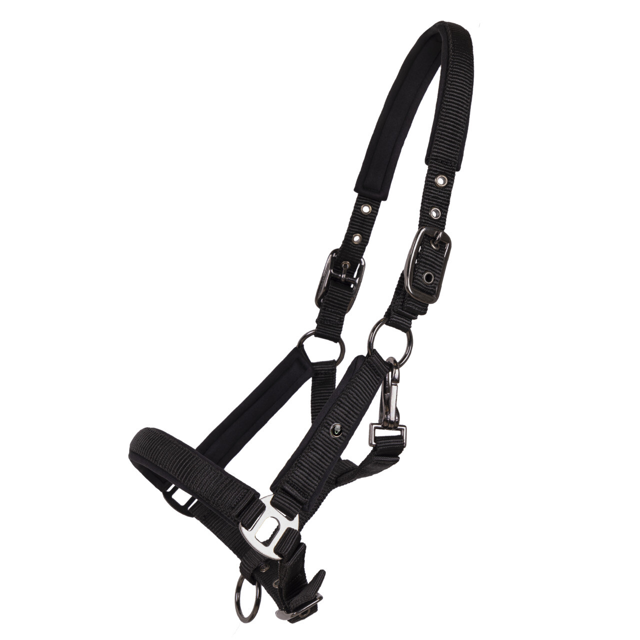 Fohlen Halfter Deluxe