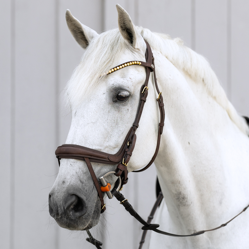 Bridle oiled leather "Caliano" close-comb.