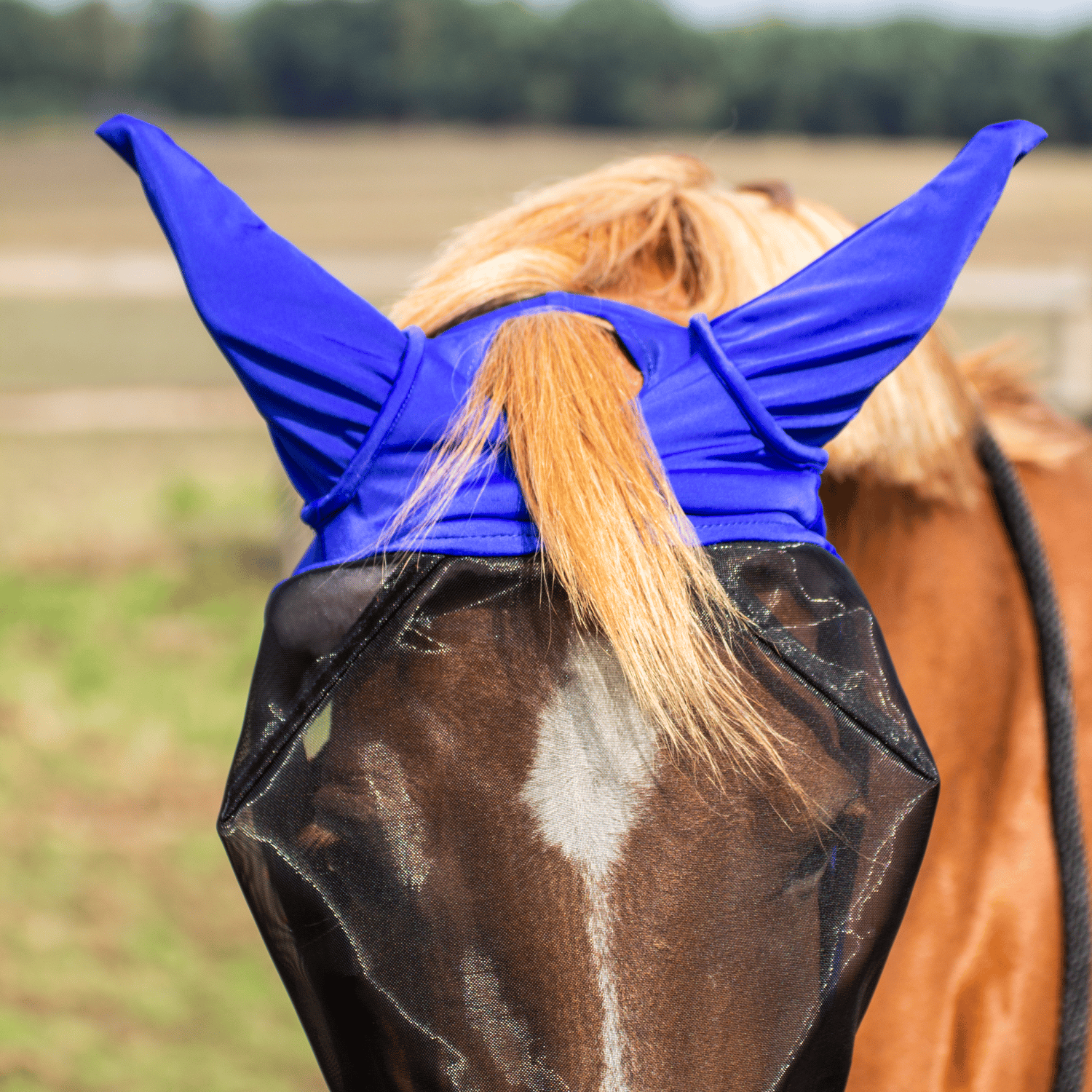 Fliegenmaske Fly Buckler Gap