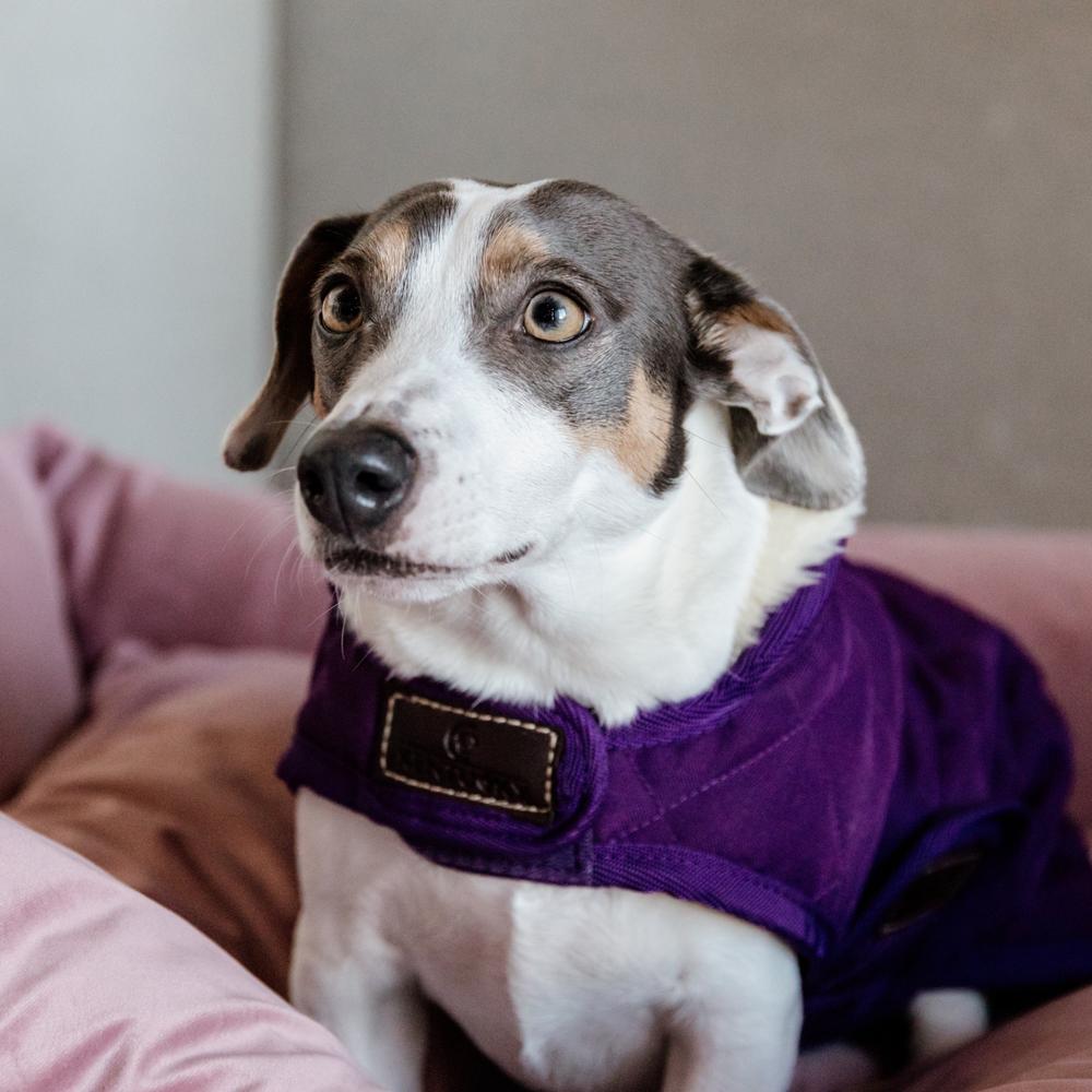 Hundemäntel Original