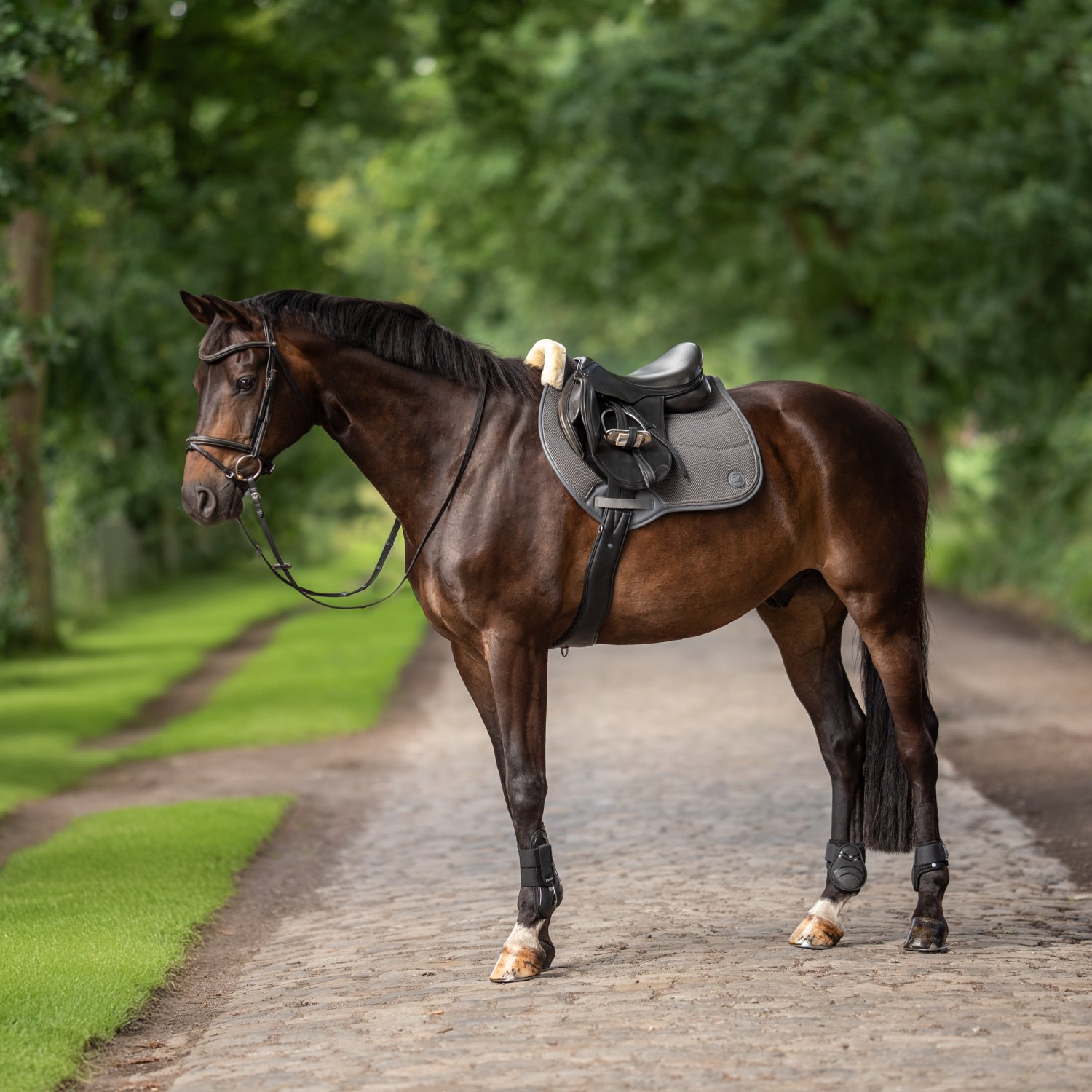 Schabracke 3D Air Effect KL