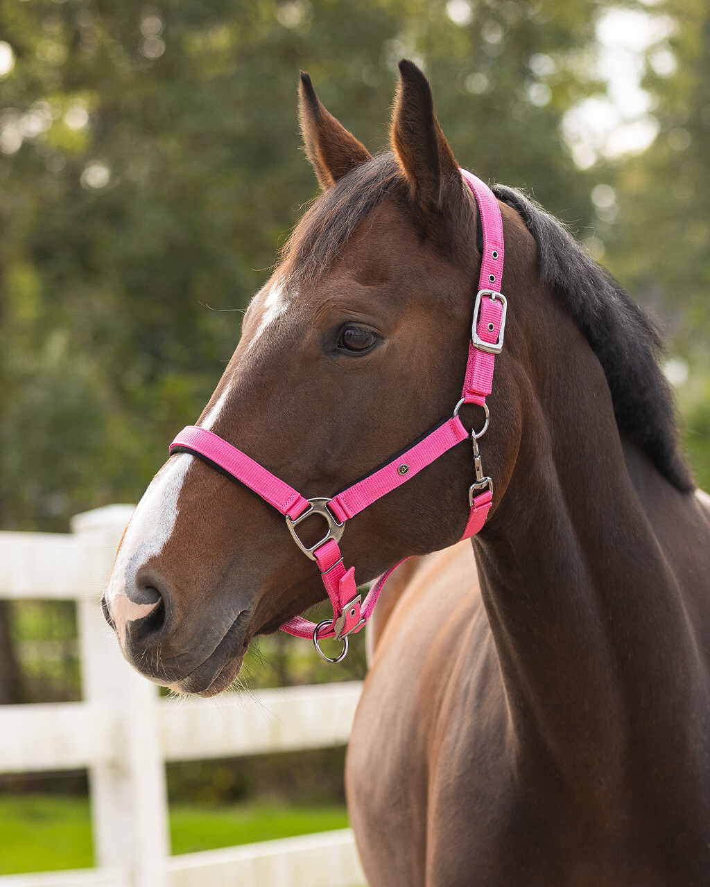 Halter Deluxe