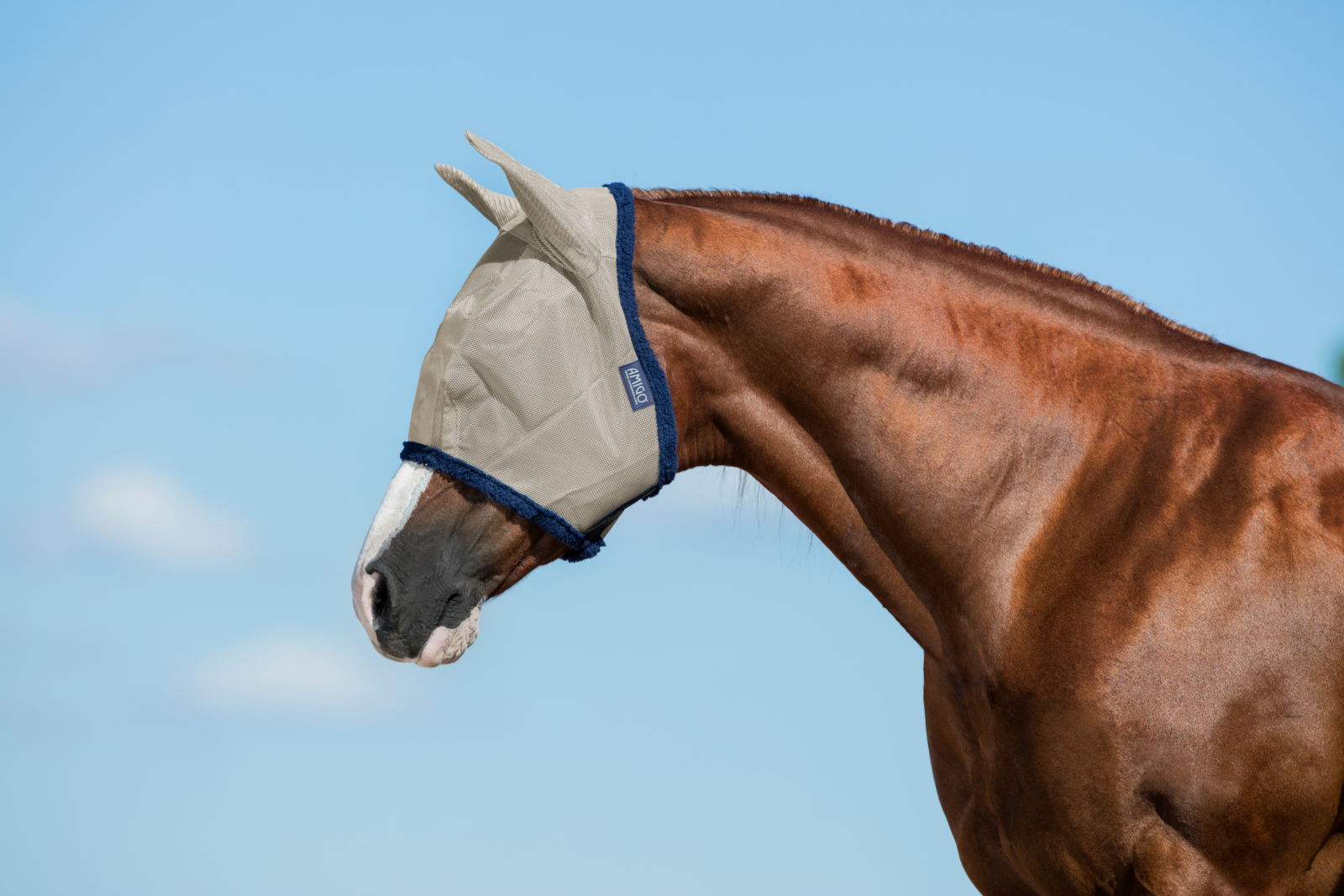 Fly mask Amigo FlyMask