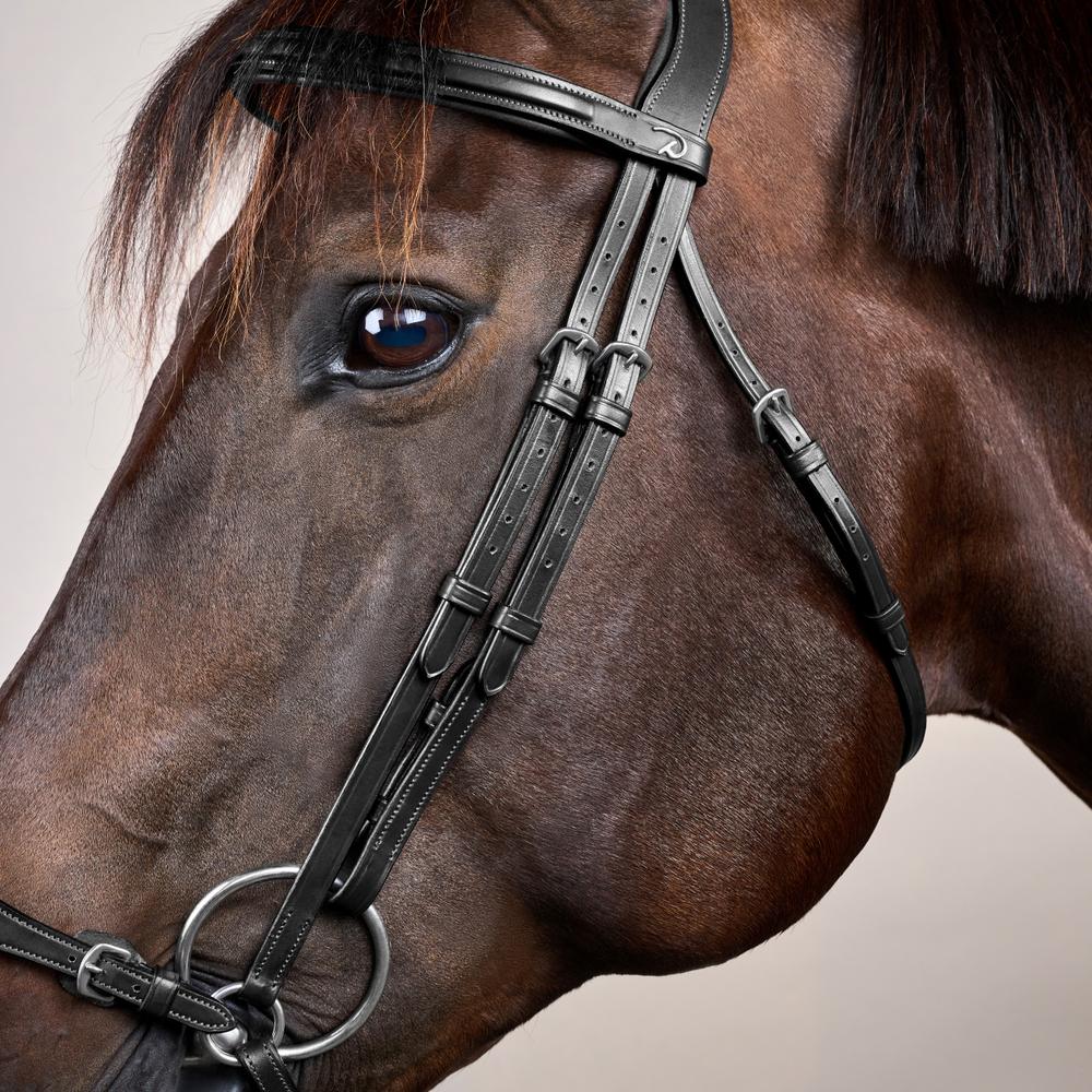 Trense mit verstellbarem hannoverschem Reithalfter NE