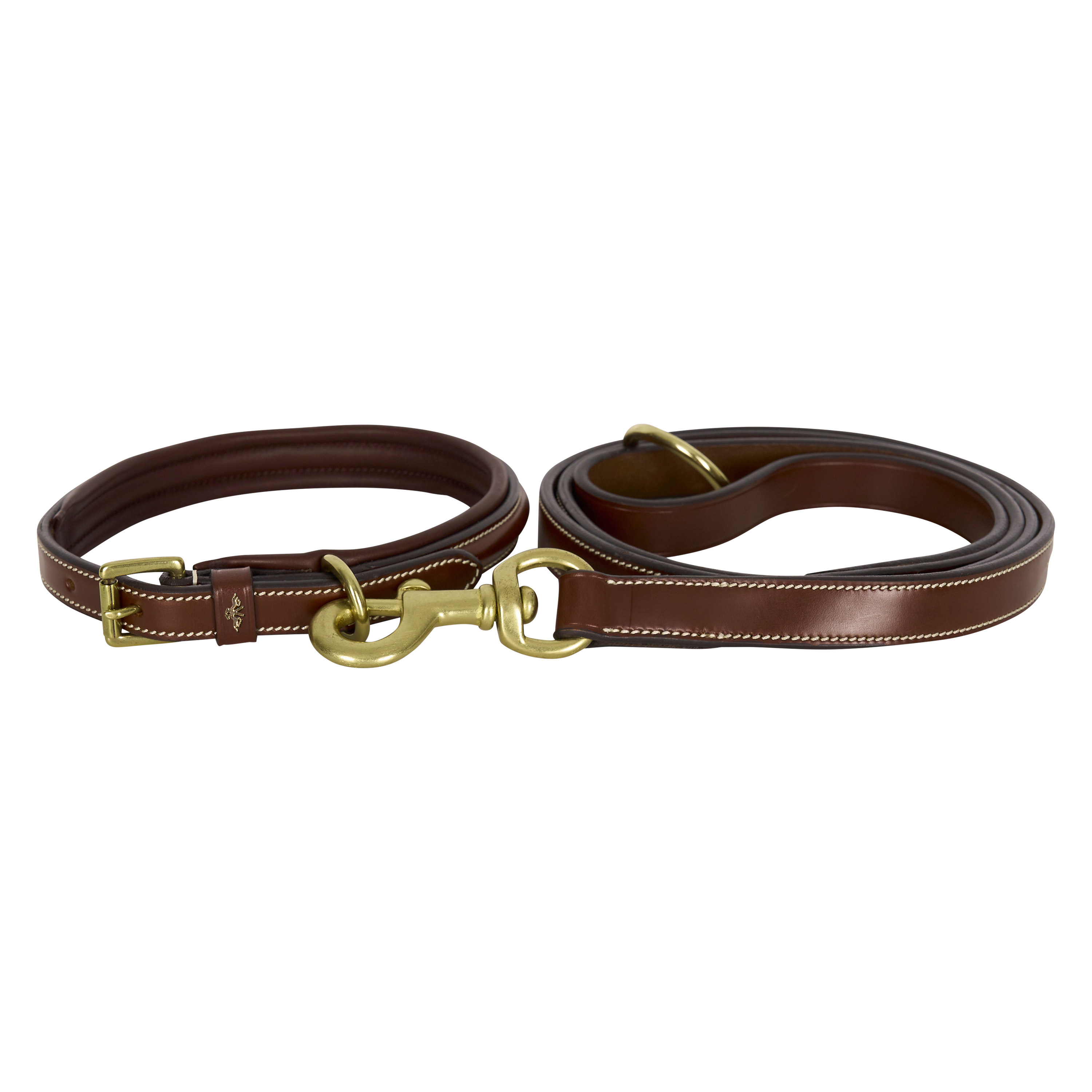 Hundehalsband Legacy
