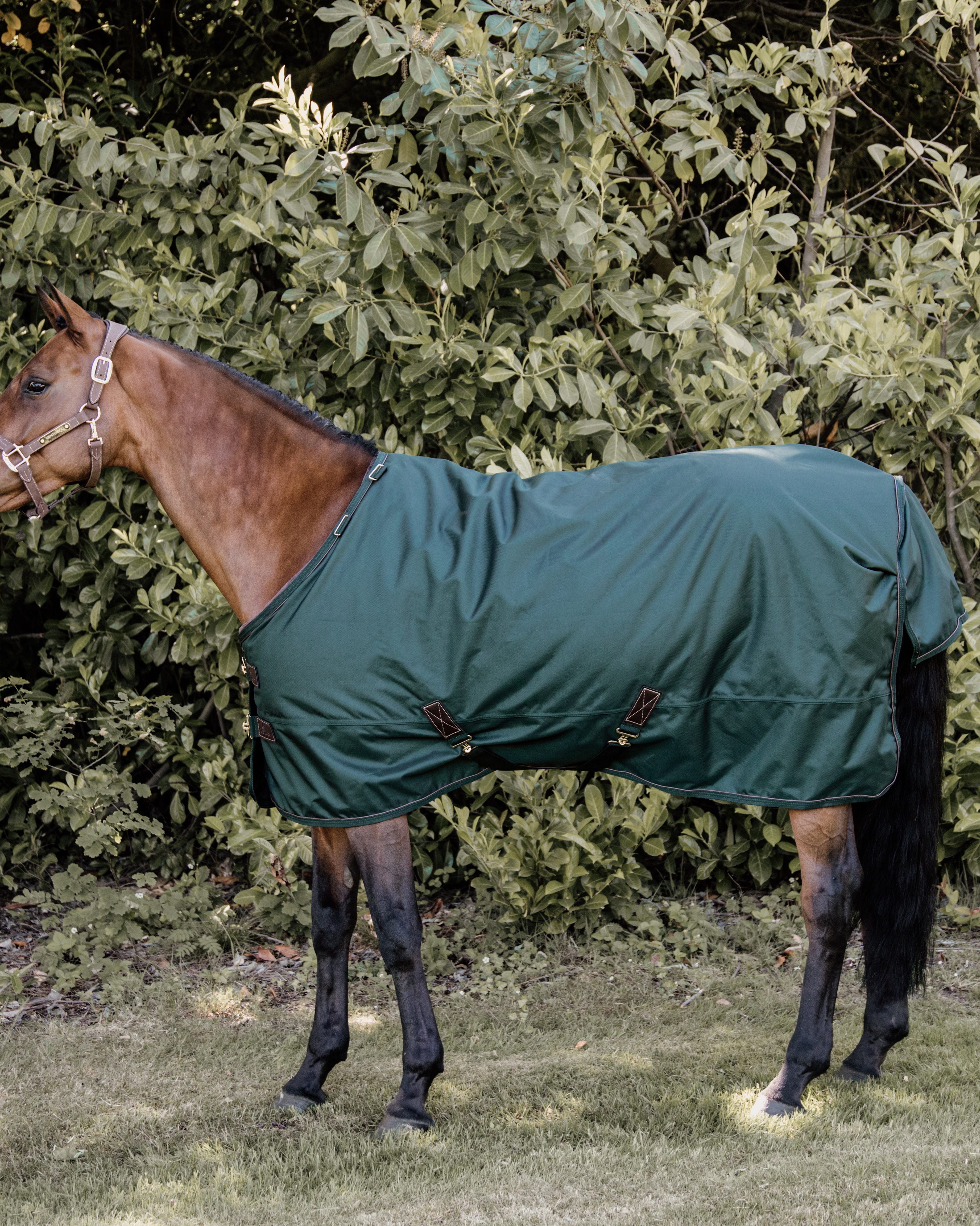 Outdoor rug All Weather waterproof Pro 160g