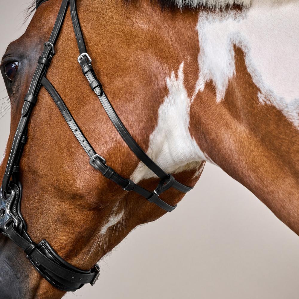 Hackamore-Zaum US