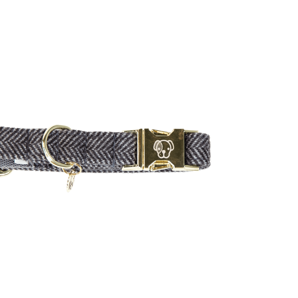 Hunde Halsband Wolle | Kentucky Dogwear