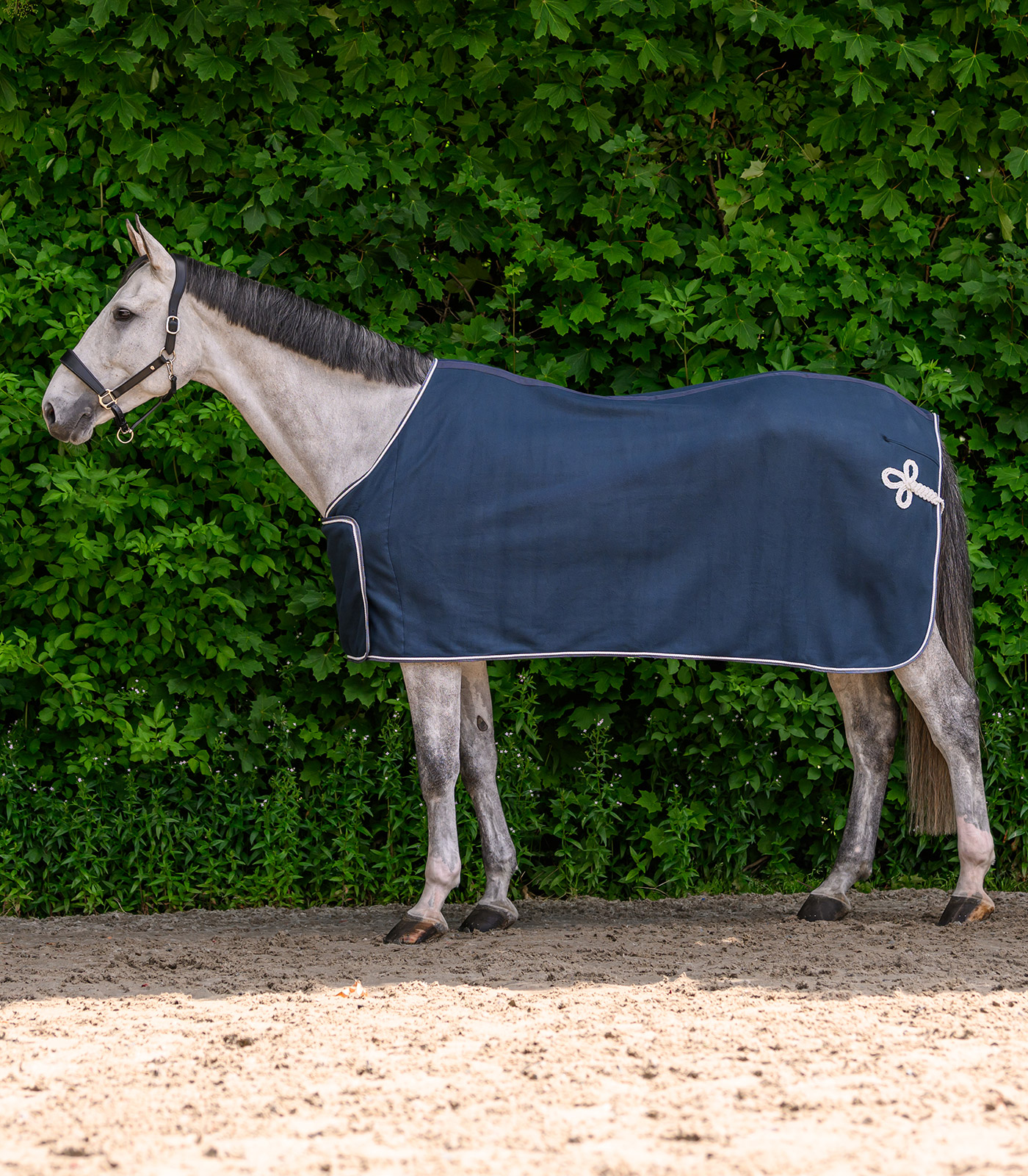 ECONOMIC Fleece Advertising rug