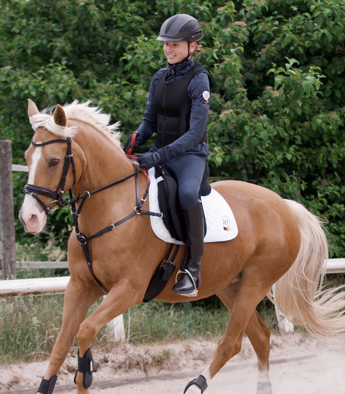 Breastplate with safety reins