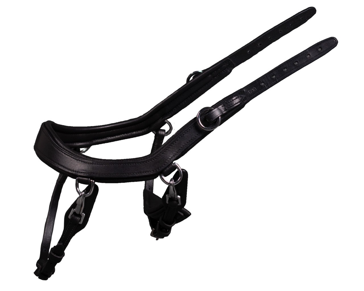 Noseband FaySport