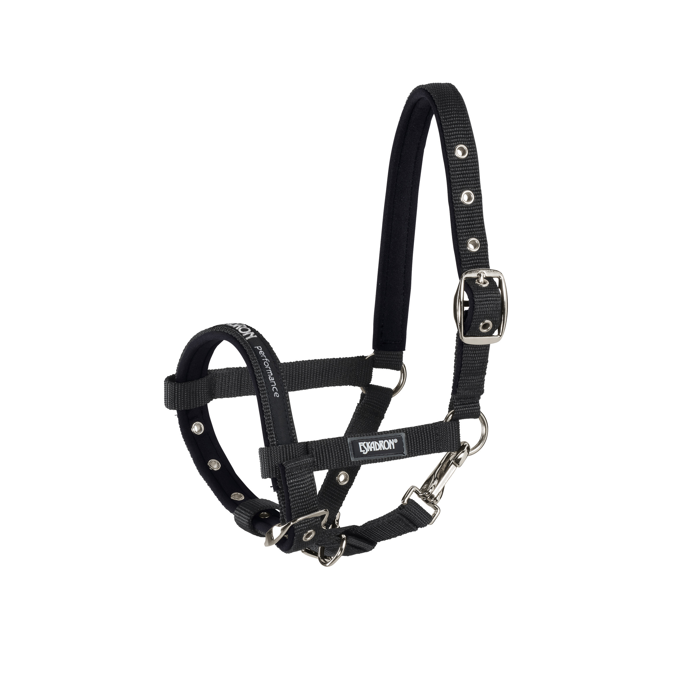 Foal halter
