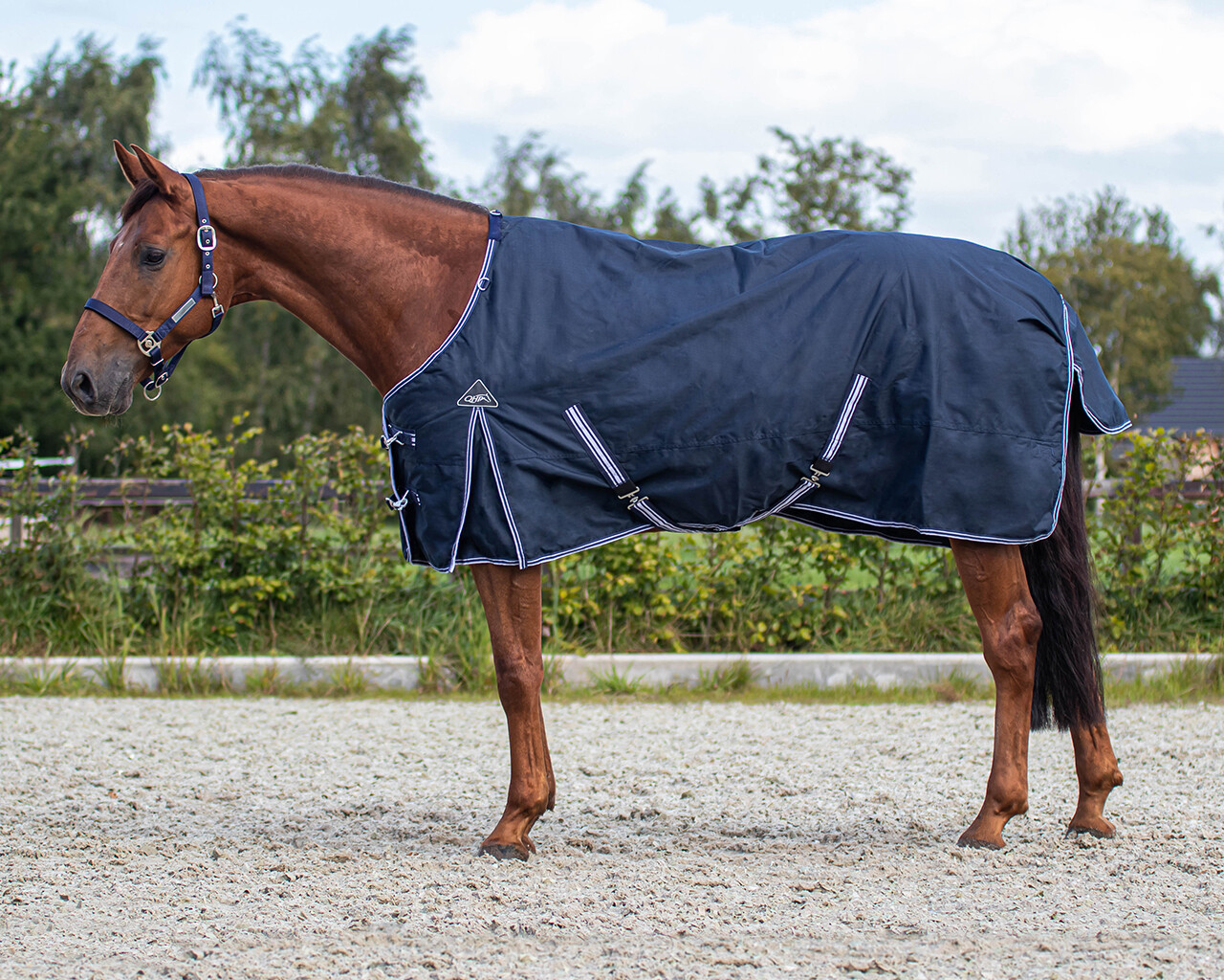 Rain Blanket Turnout Luxury 50gr Rain Blanket Turnout Luxury 50gr