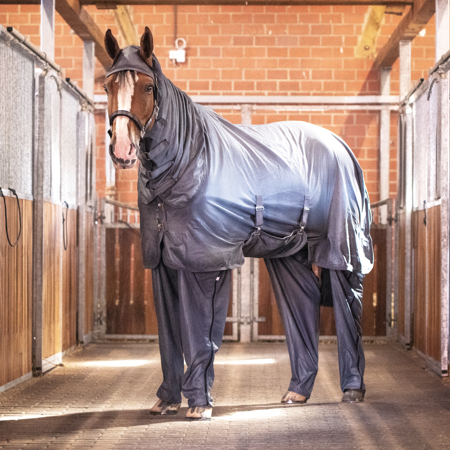 Complete Plus fly rug