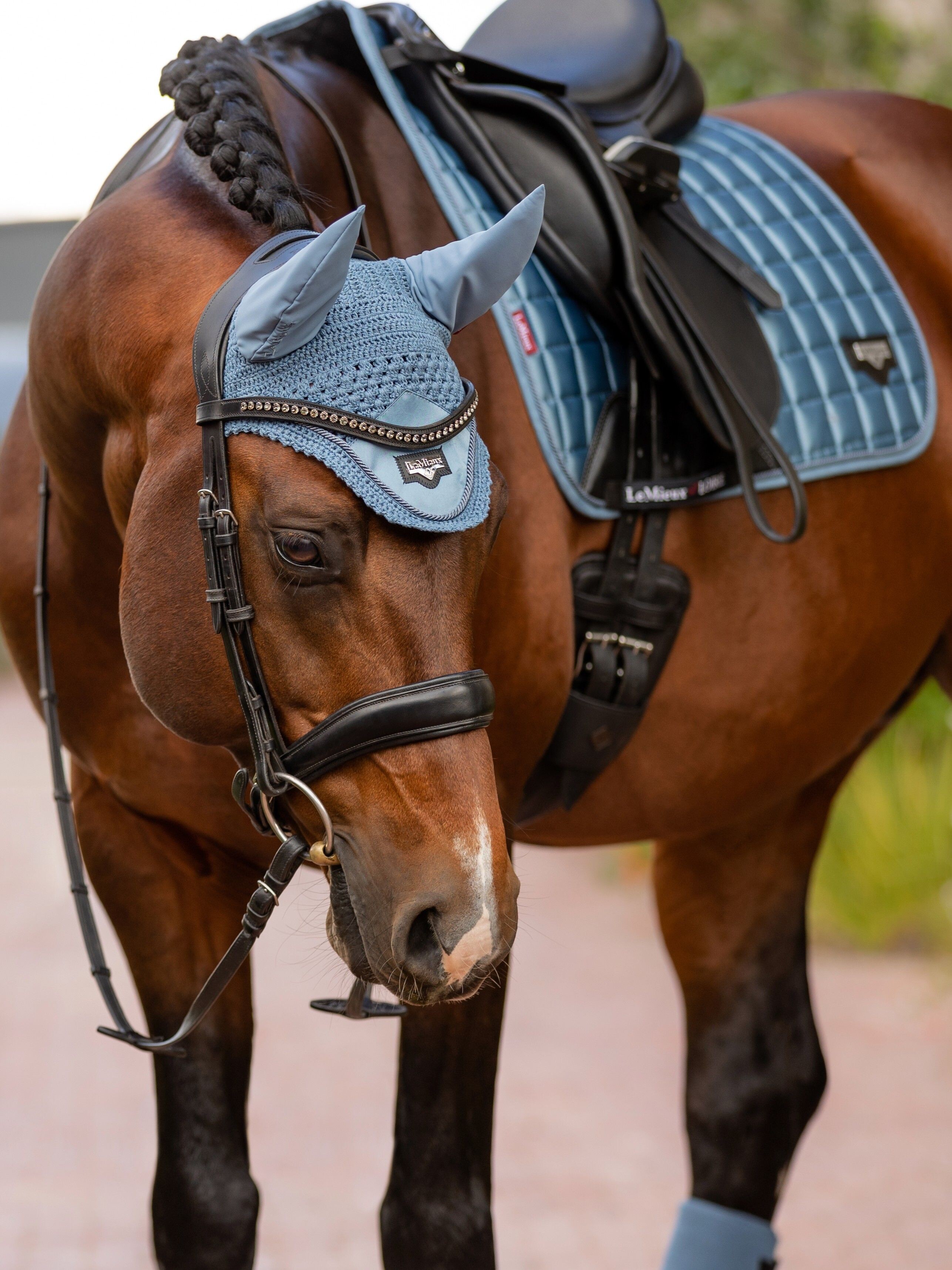 Loire ear bonnet