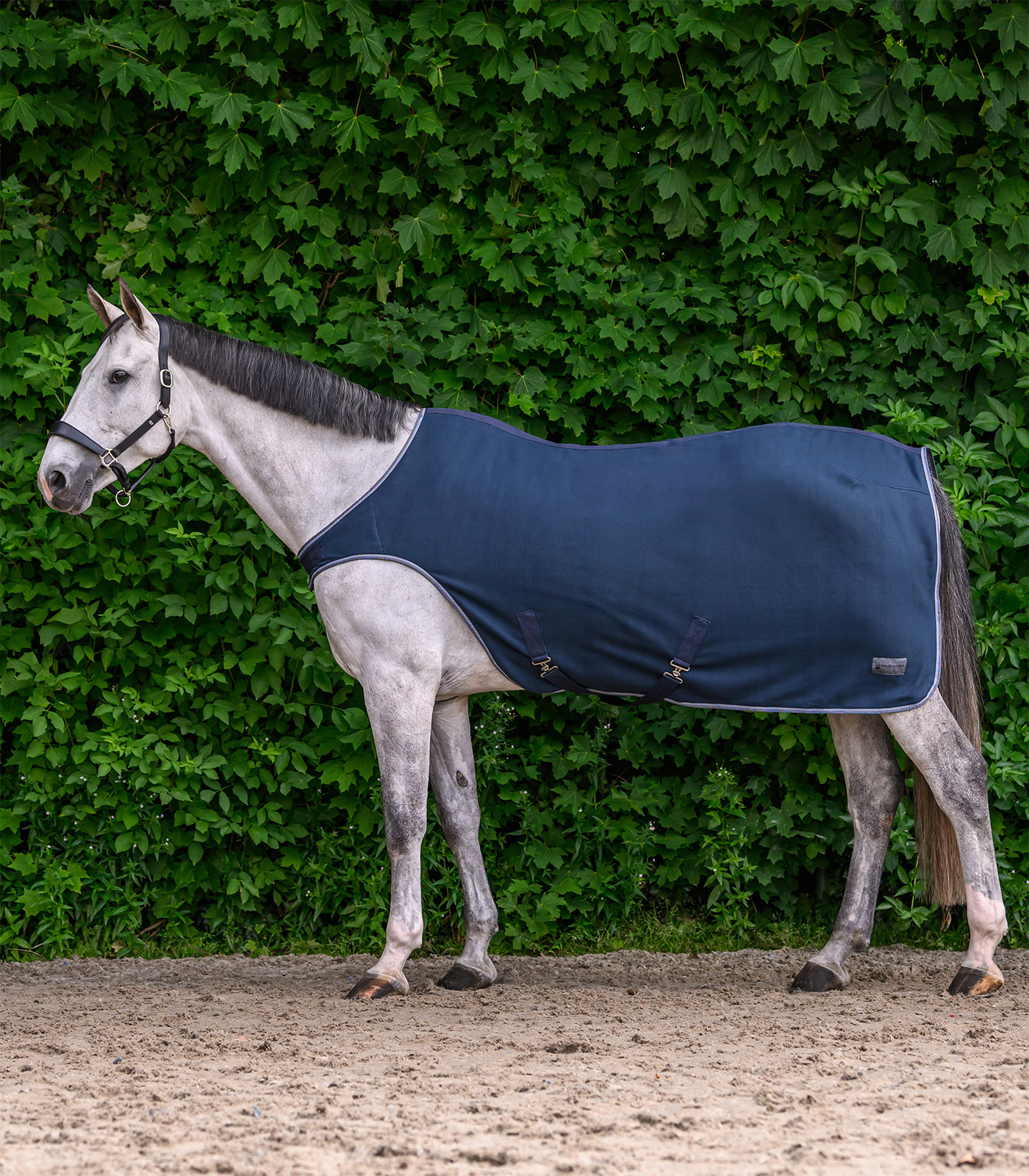 ECONOMIC Fleece Walking rug, nightblue