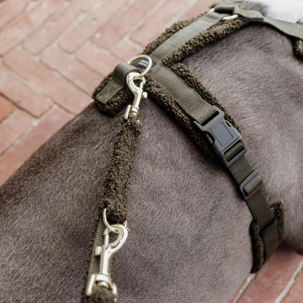 Hundegeschirr Aktiv Teddy Fleece | Kentucky Dogwear