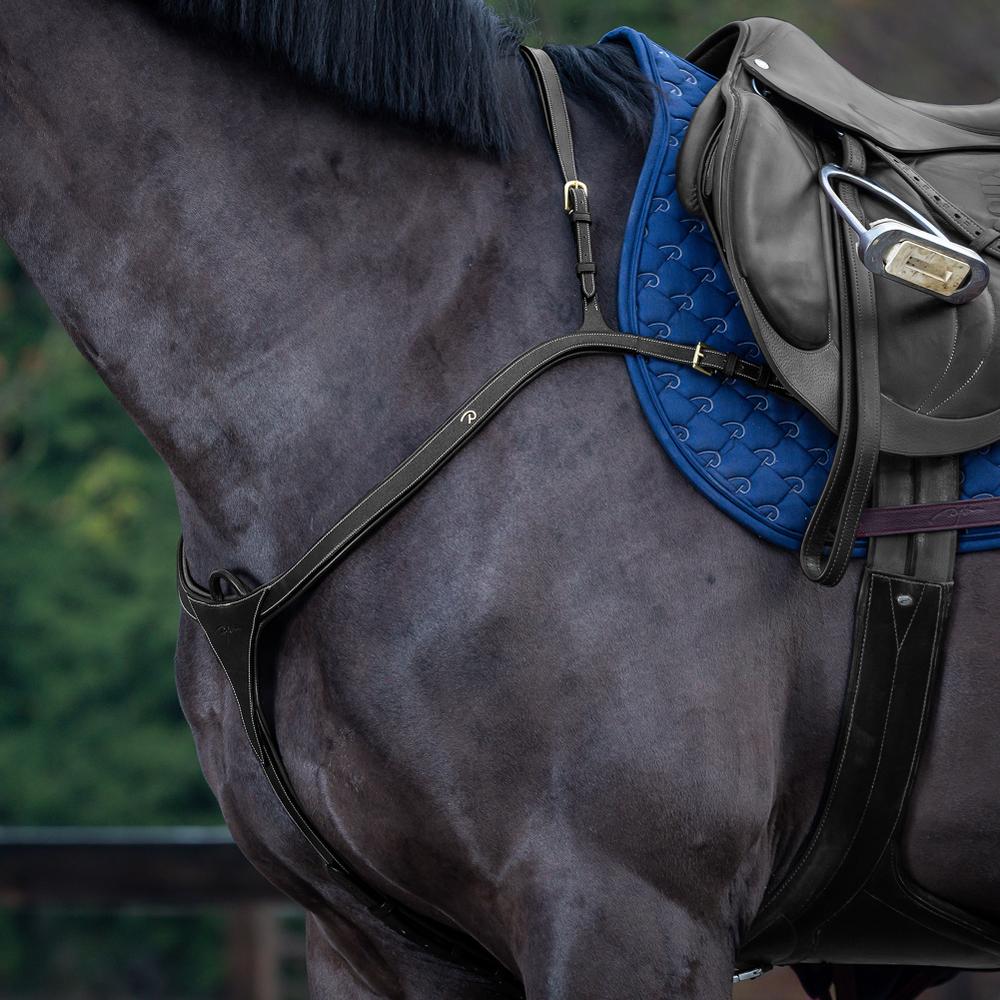 Vorderzeug mit langer Brücke | Dy'on