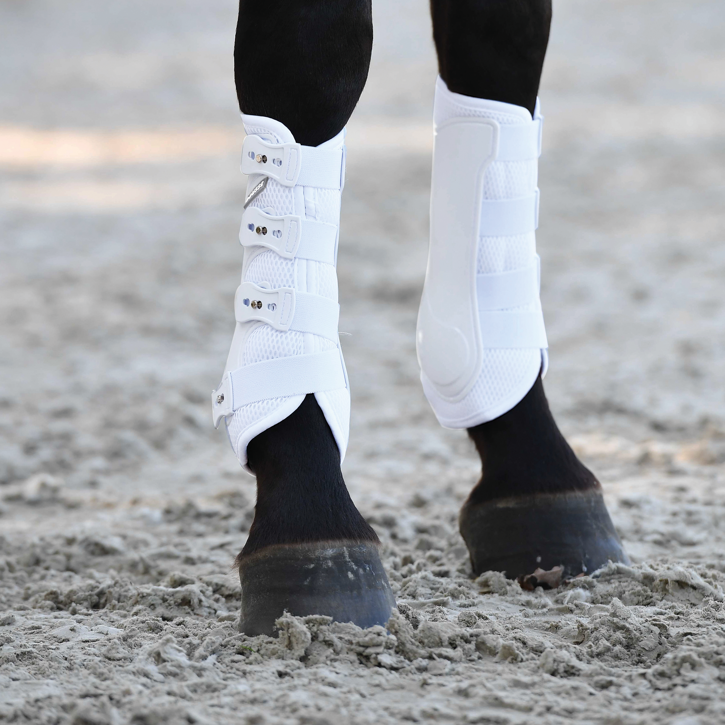 Guêtres Dressage-Pro-Mesh
