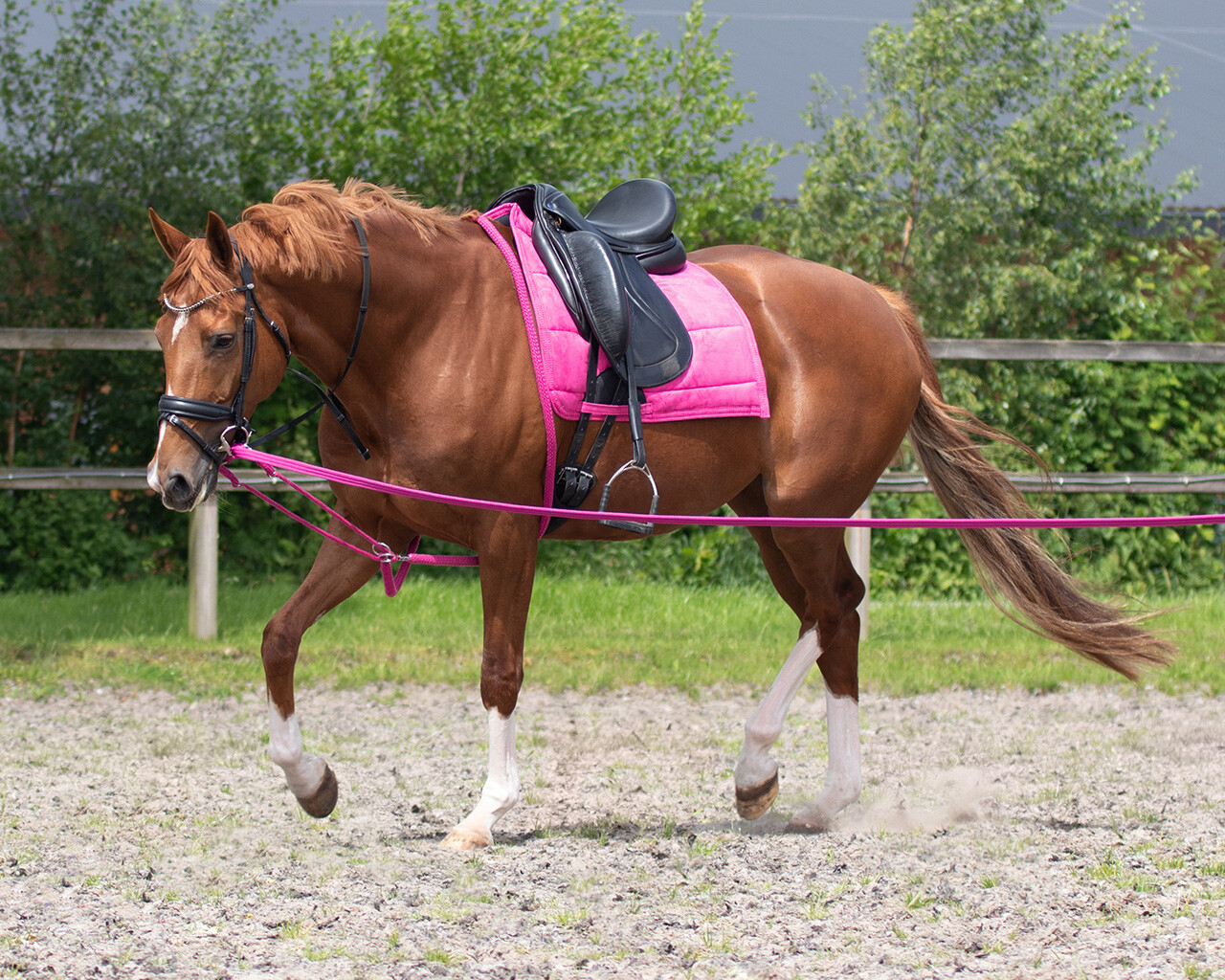 Lunging aid