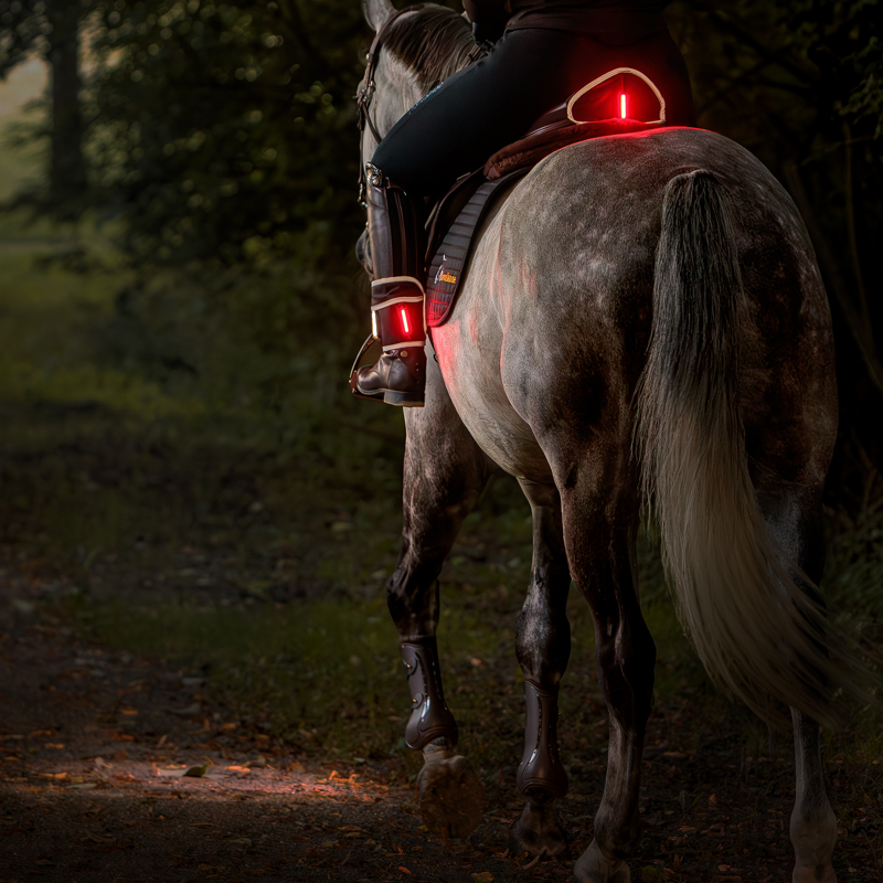 "Horselight" Set 2 -VZ+Sattelhusse-Beinmanschetten