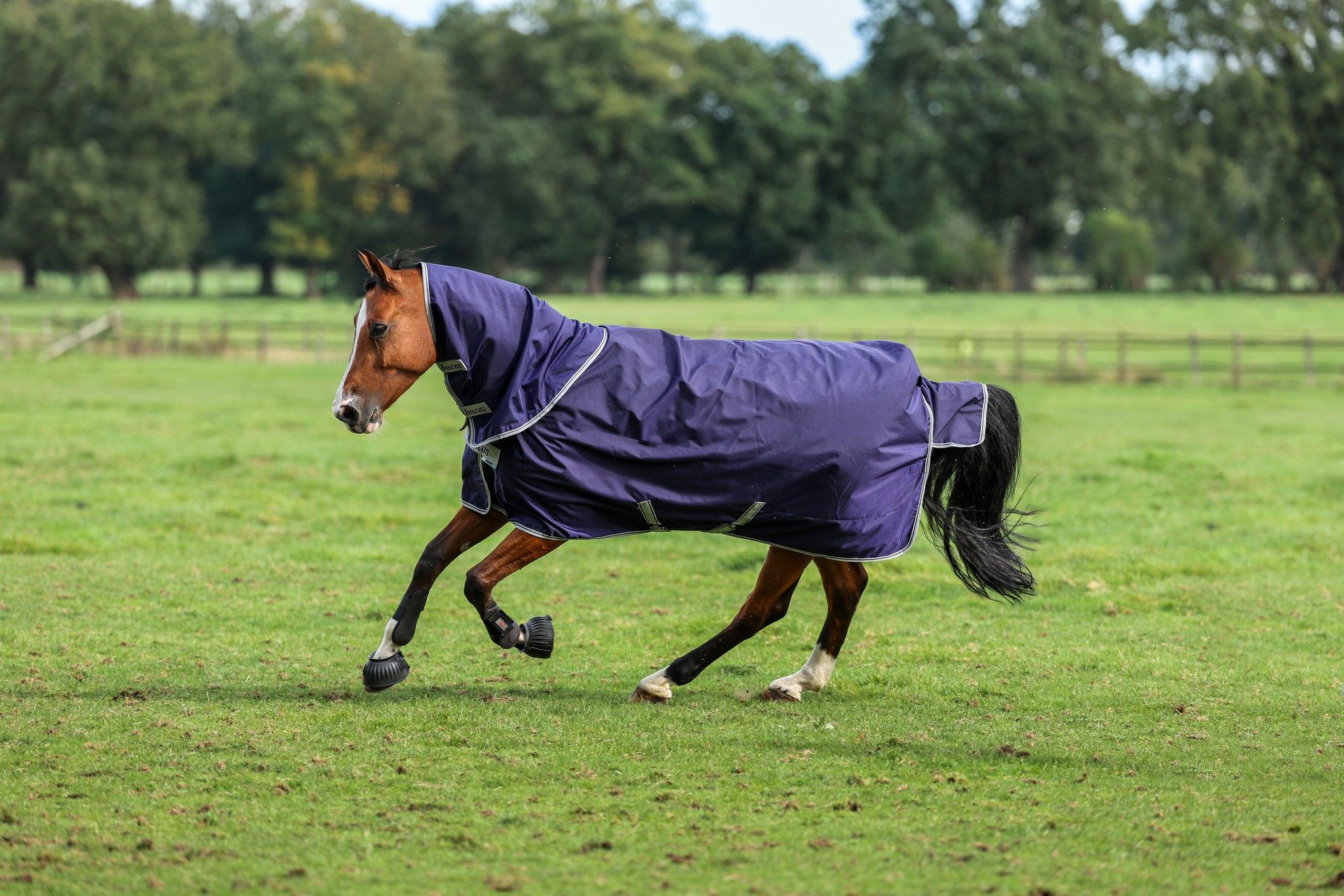 Halsteil Atlantic Turnout Neck in Navy