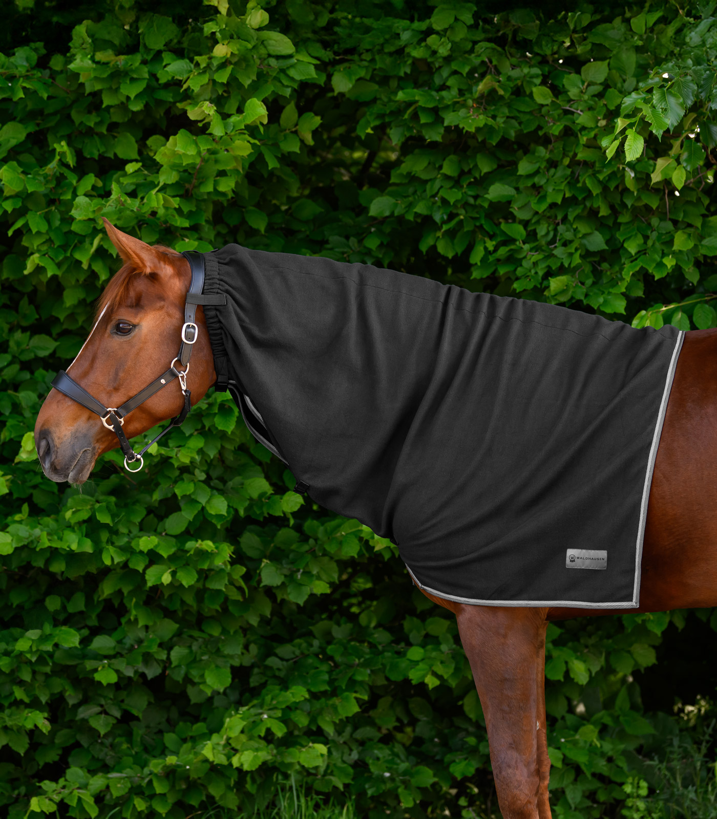 ECONOMIC Fleece neck rug