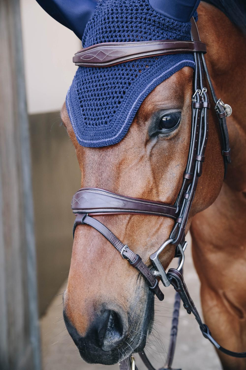 Fliegenhaube Wellington Sparkling
