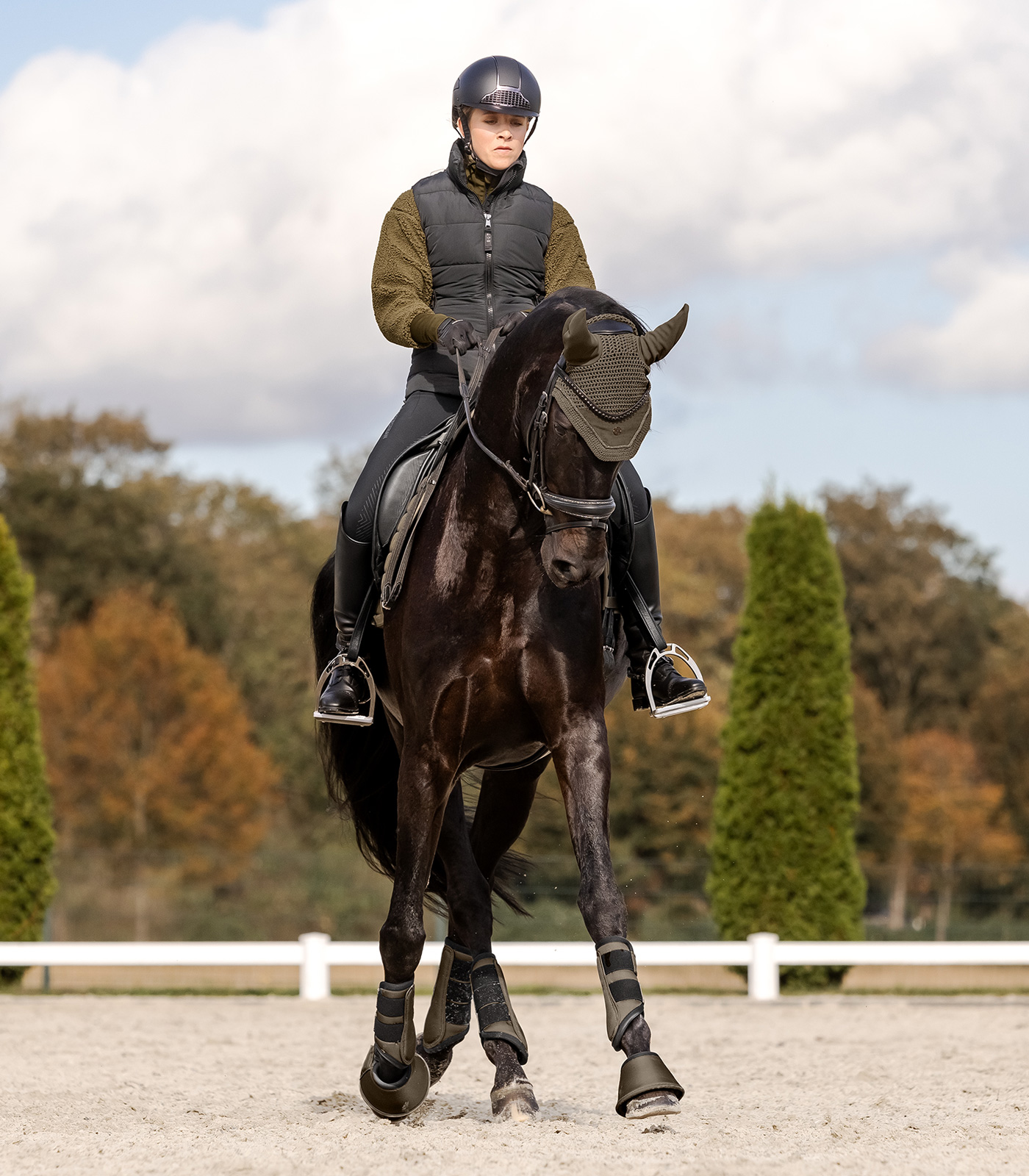 Fliegenohren St. Gallen