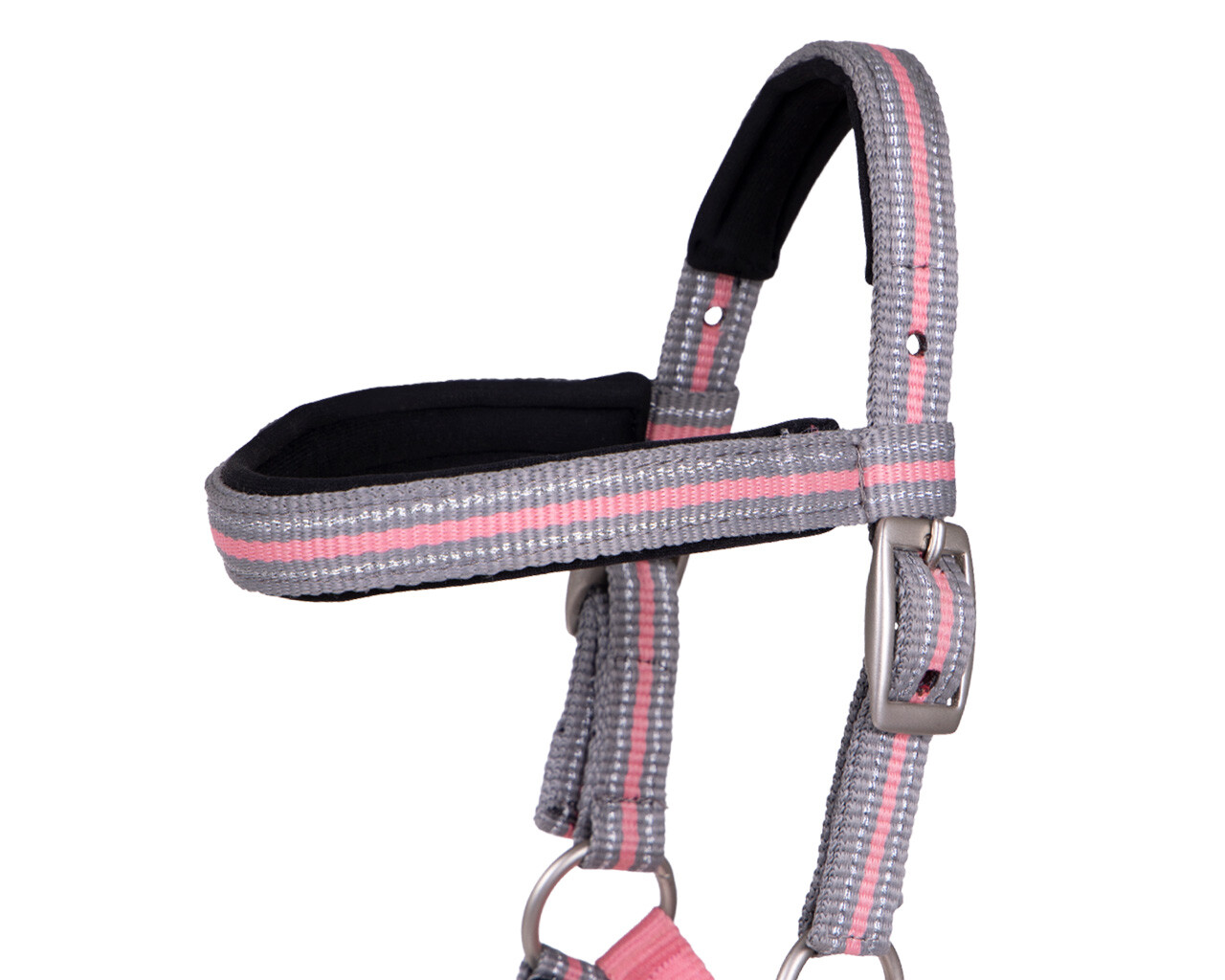 Foal halter Flore with headband