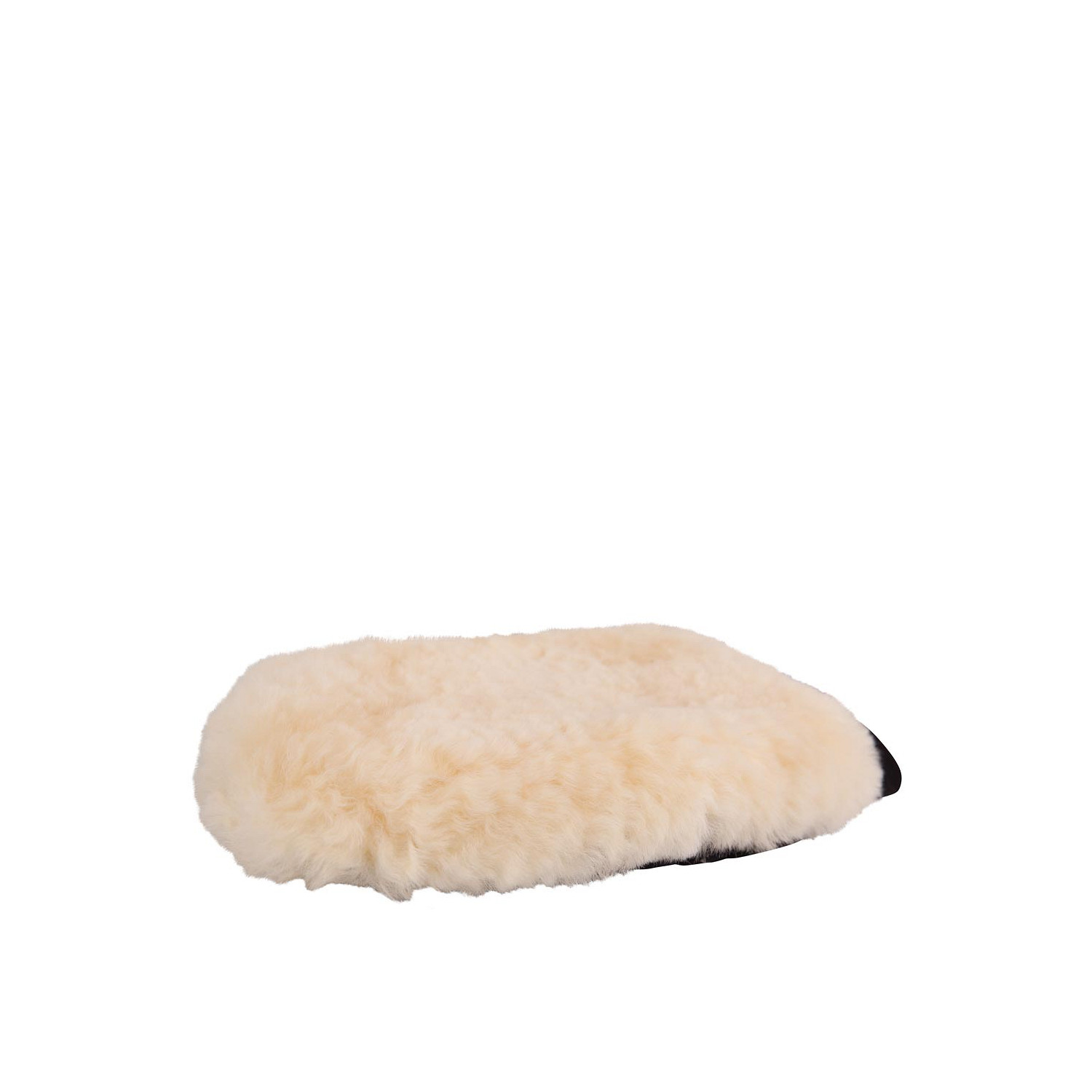 Putzhandschuh