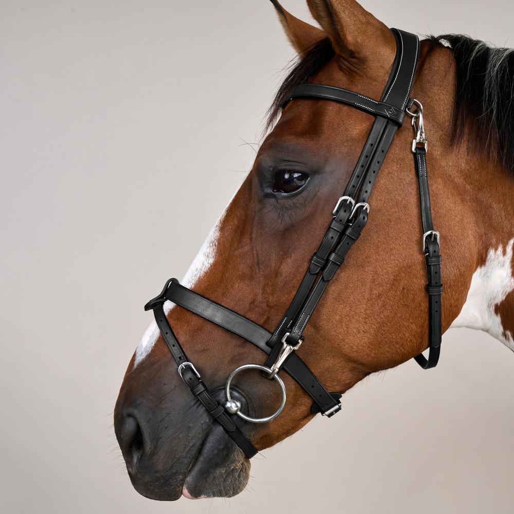 Trense aus Flachleder mit Karabinern in schwarz