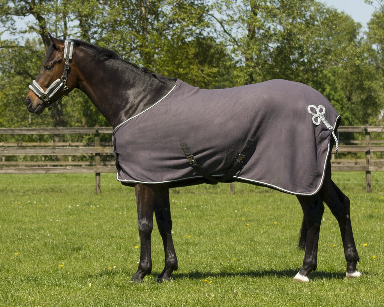 Sweat rug with ornament