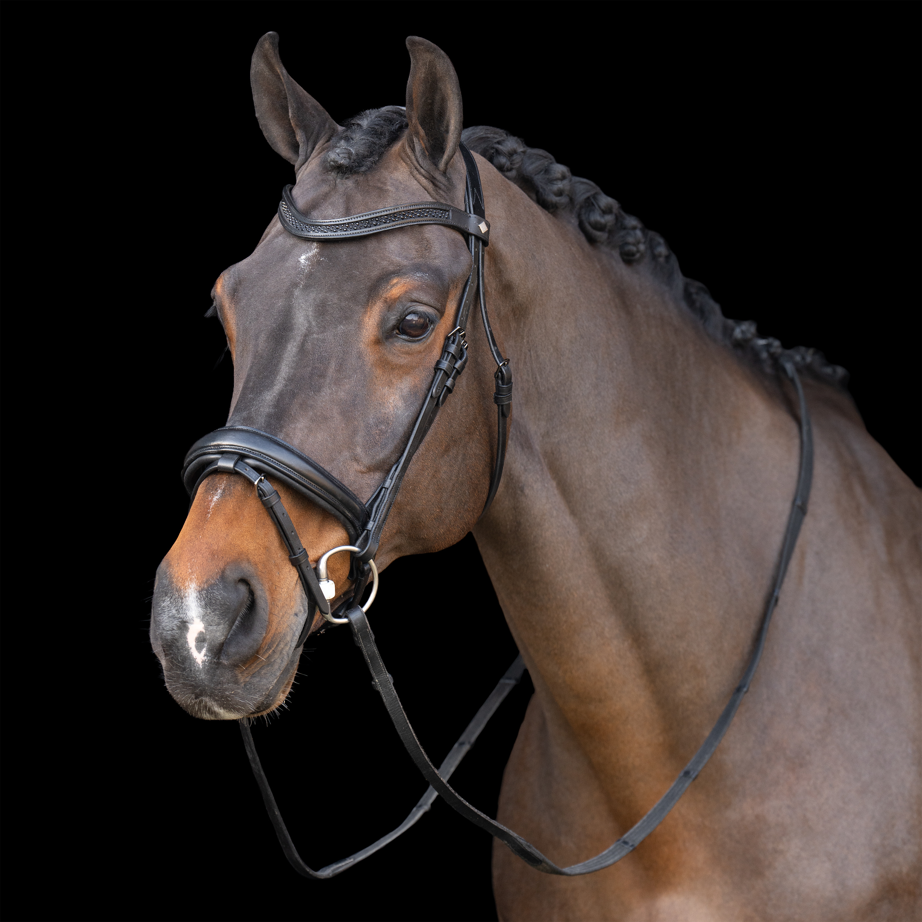 Snaffle bridle with English noseband